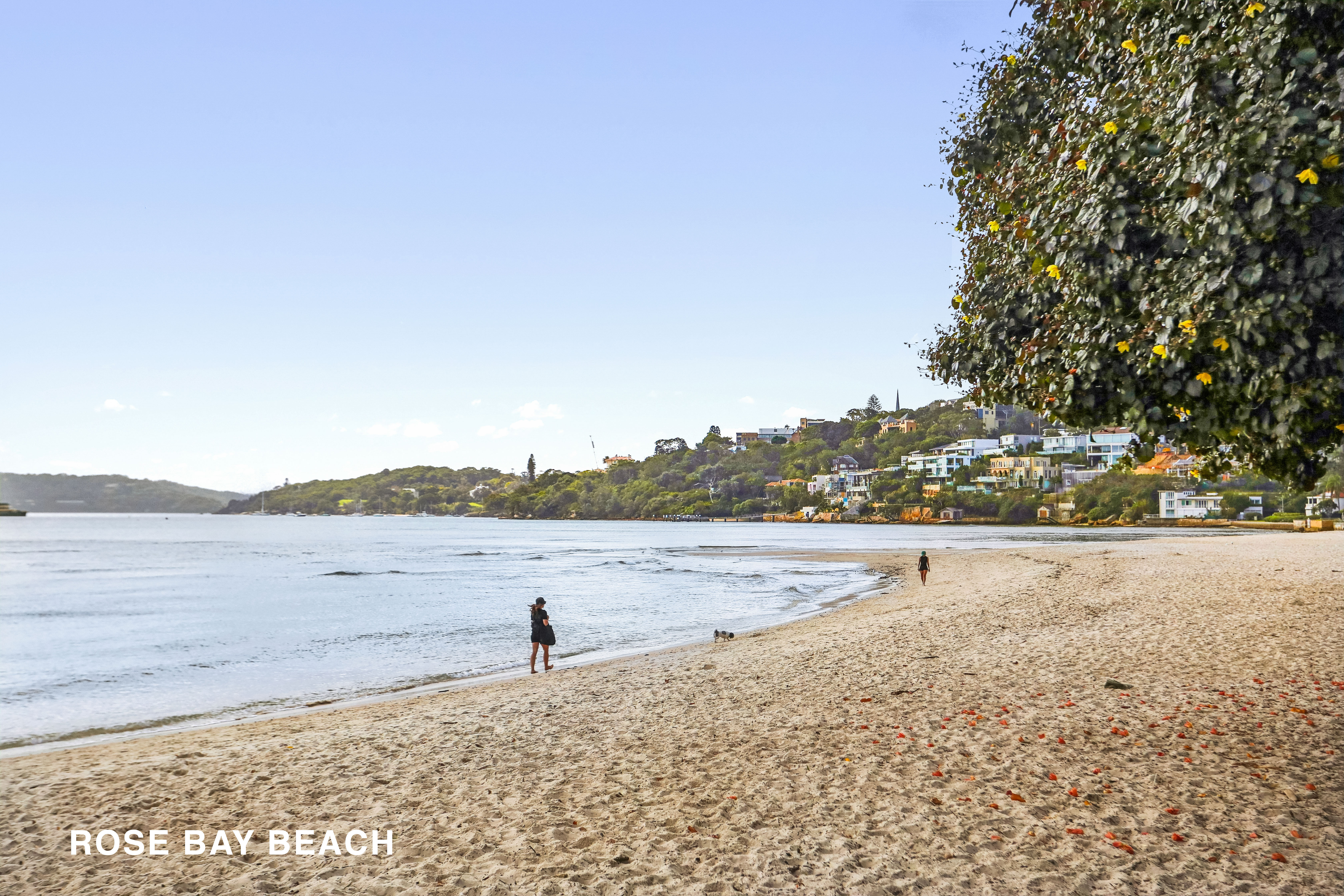 13/668-670 New South Head Road, Rose Bay - Thumbnail 6