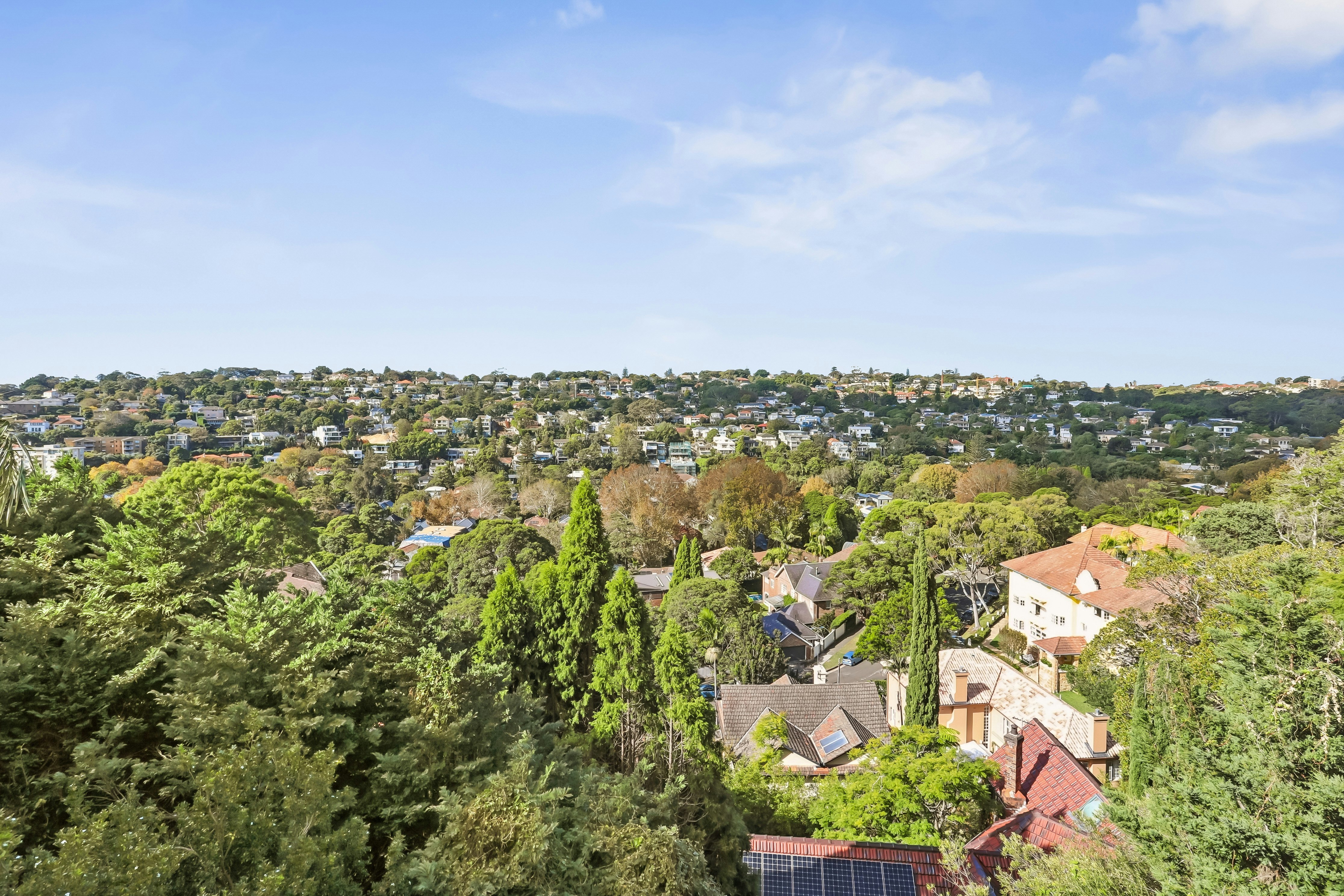 7/321 Edgecliff Road, Woollahra NSW