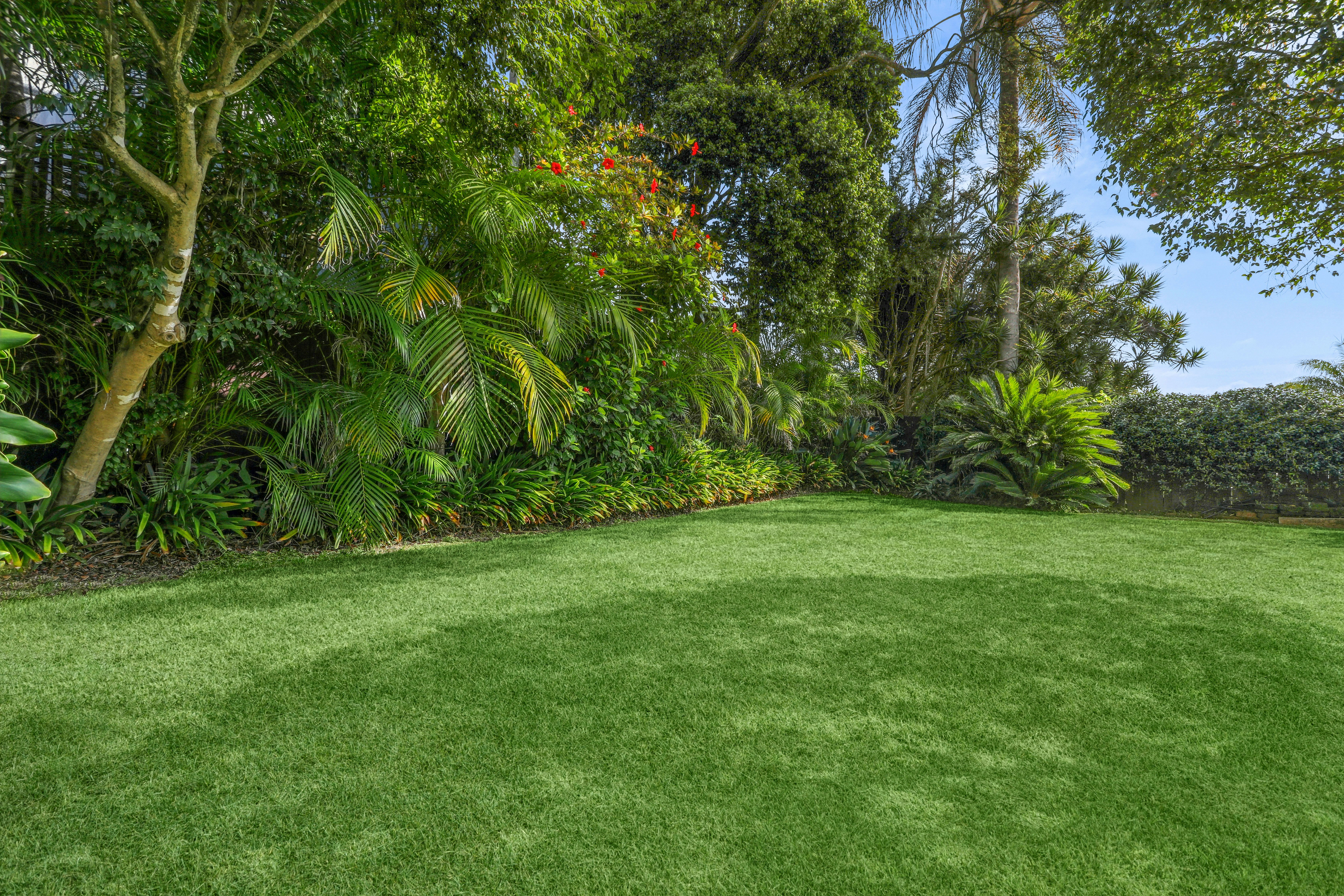 Image of grass