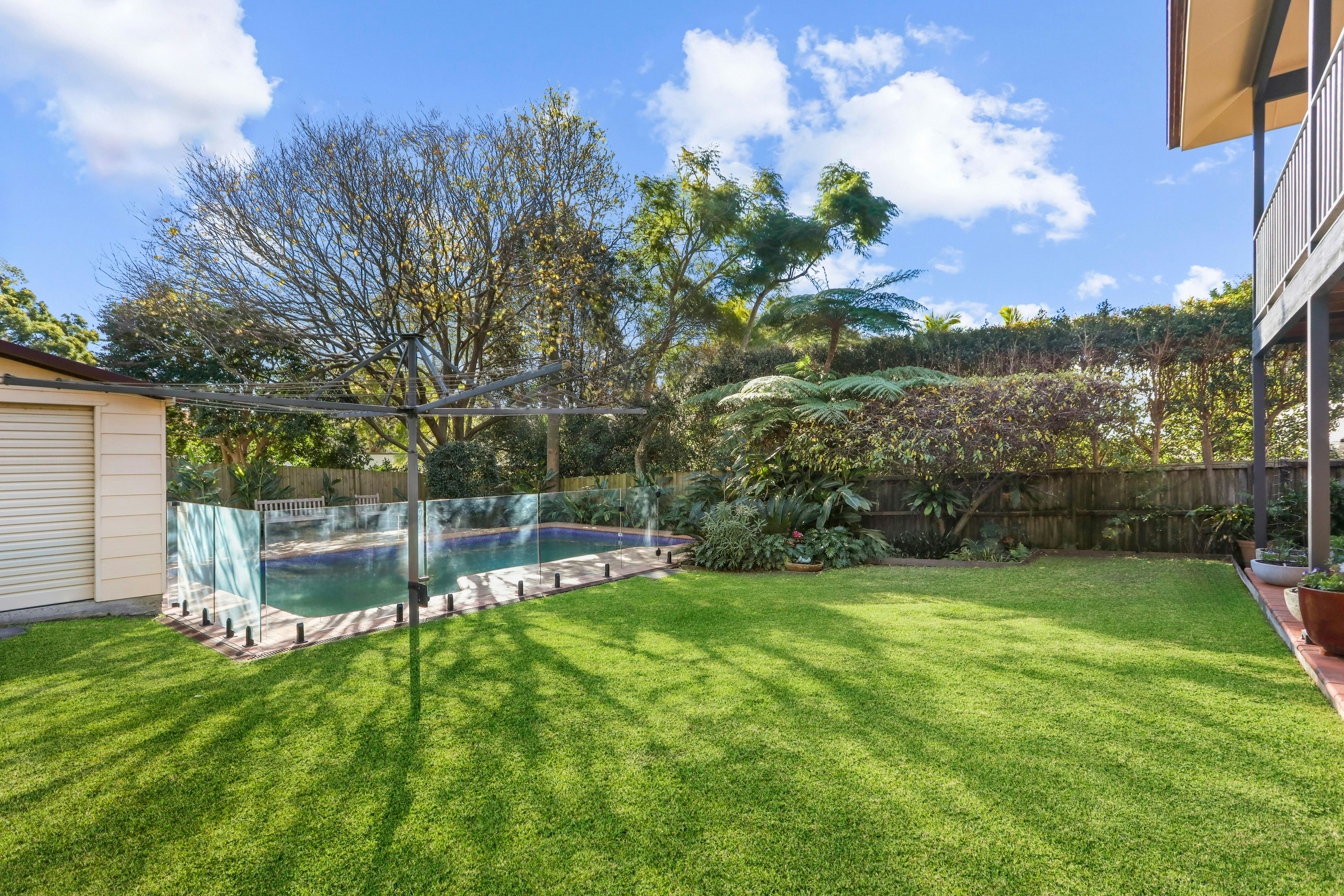 Image of backyard