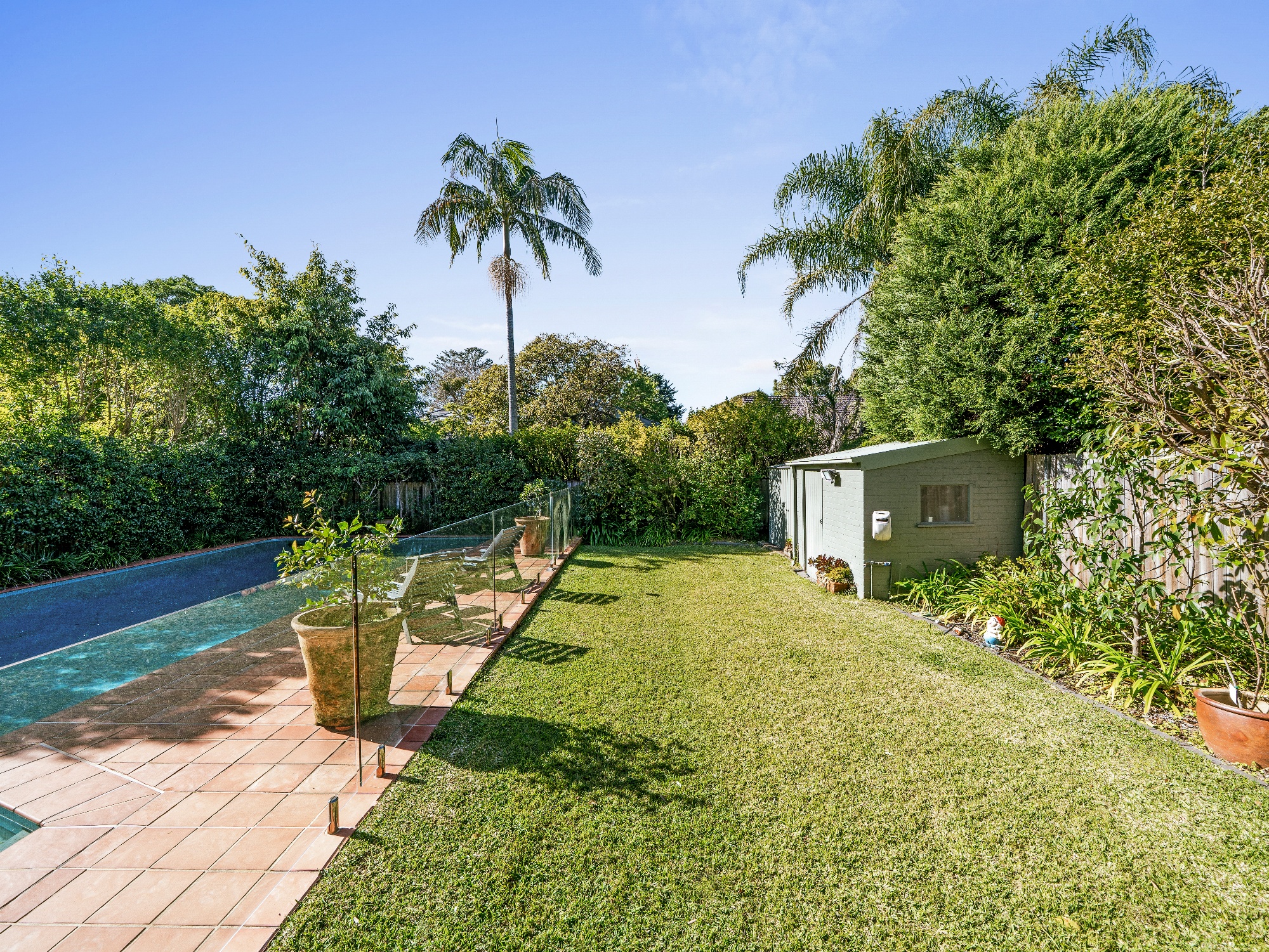 67 Balfour Road, Bellevue Hill - Thumbnail 6