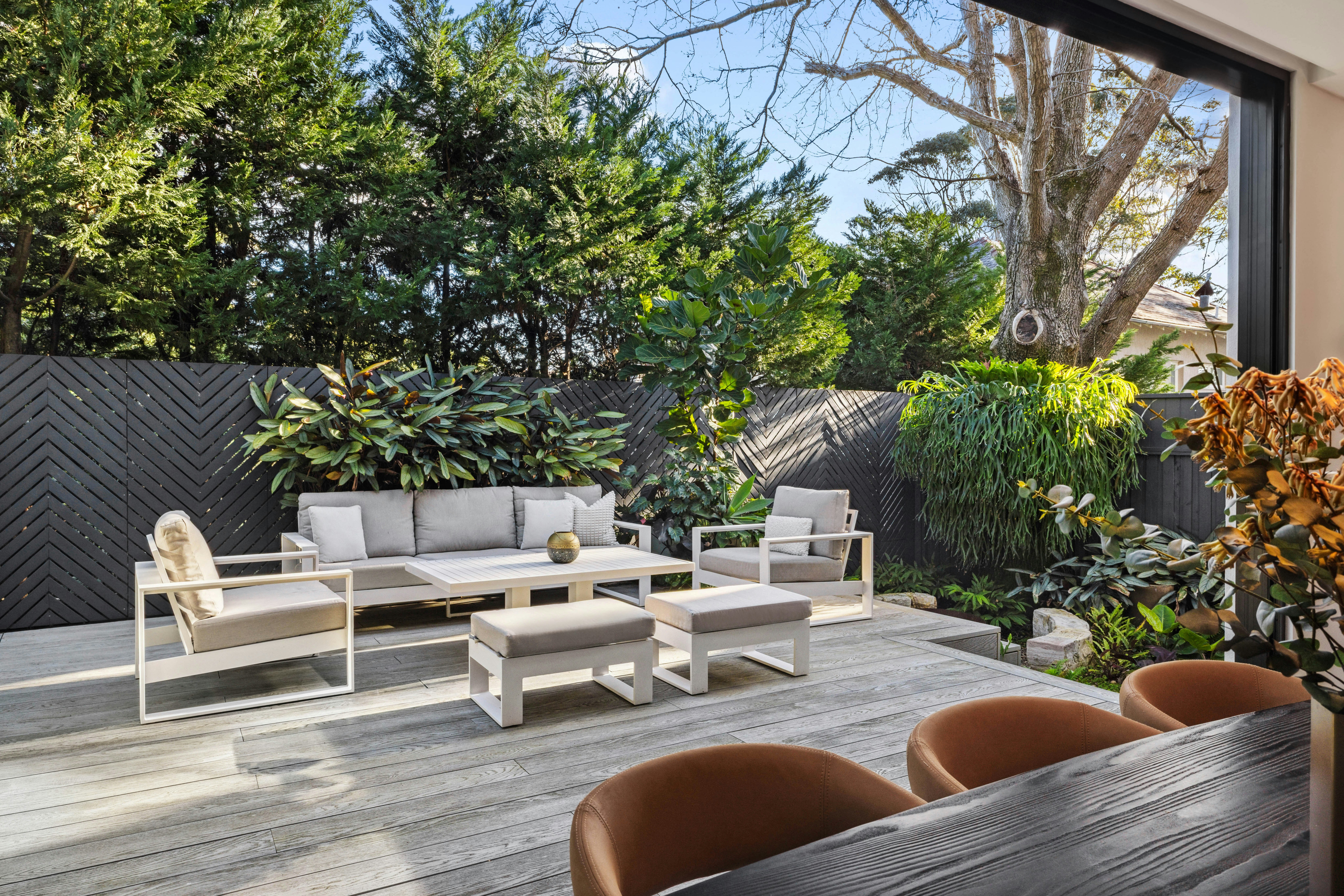 Image of backyard