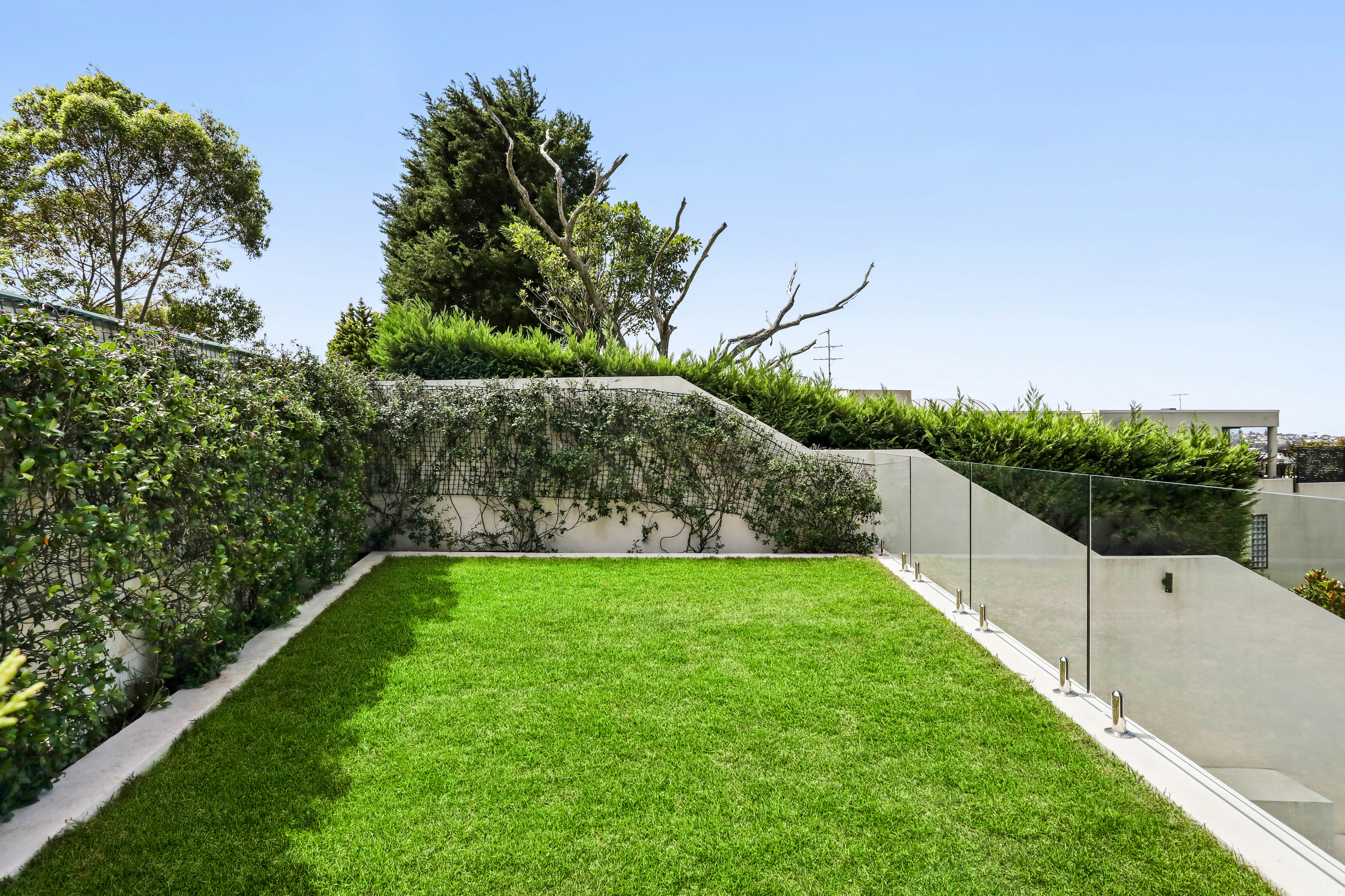 Image of backyard