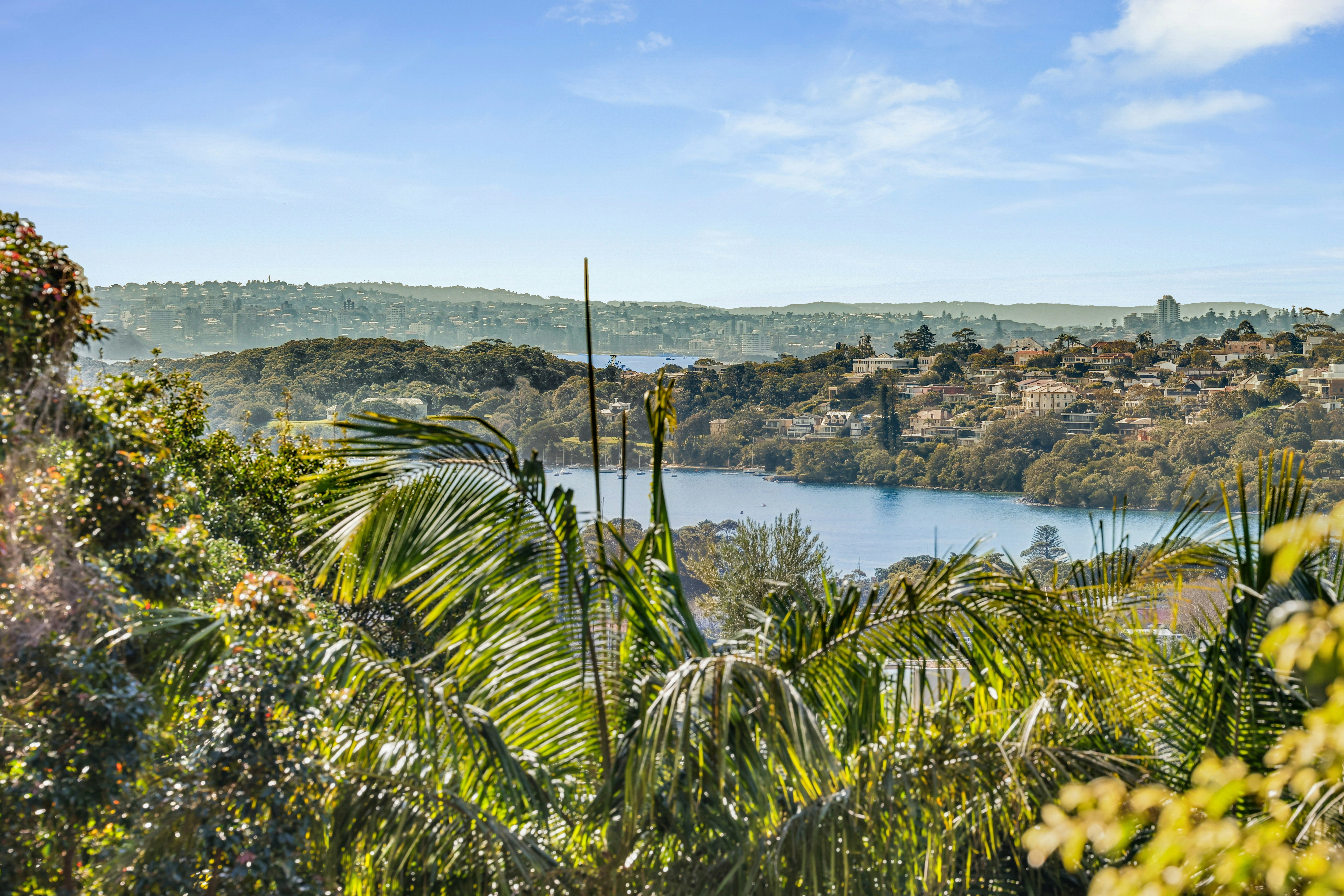 Image of vegetation