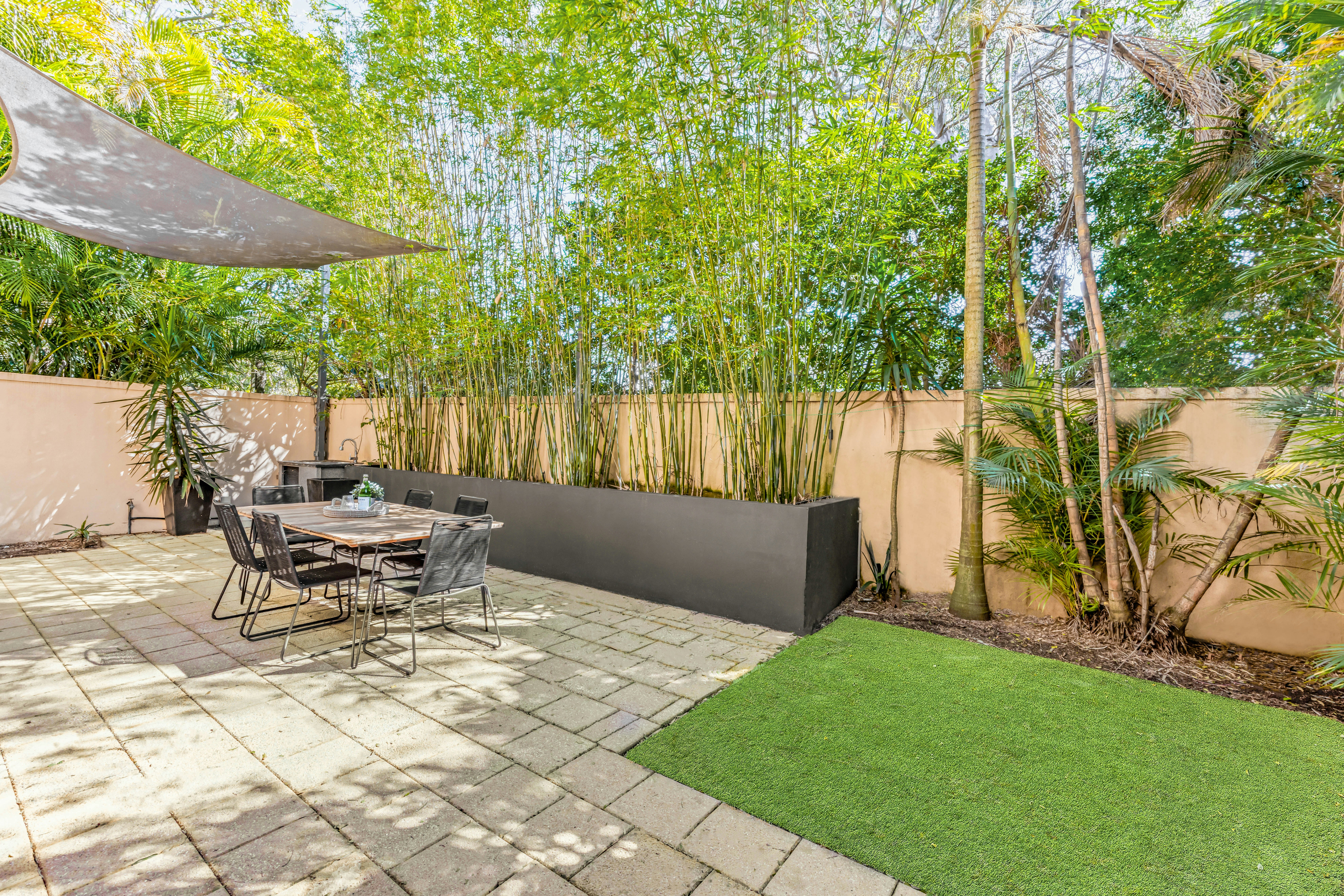 Image of backyard