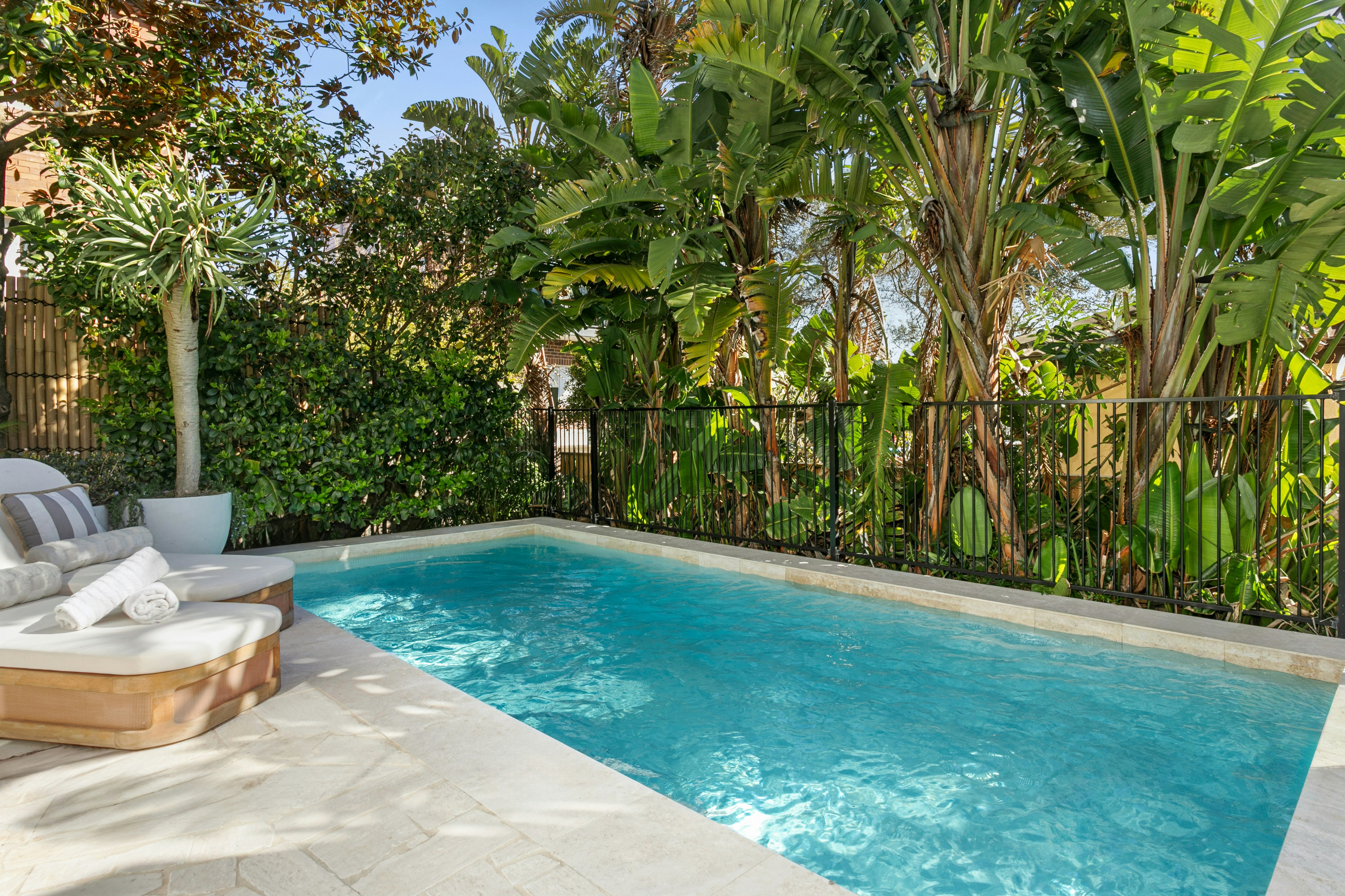 Image of backyard