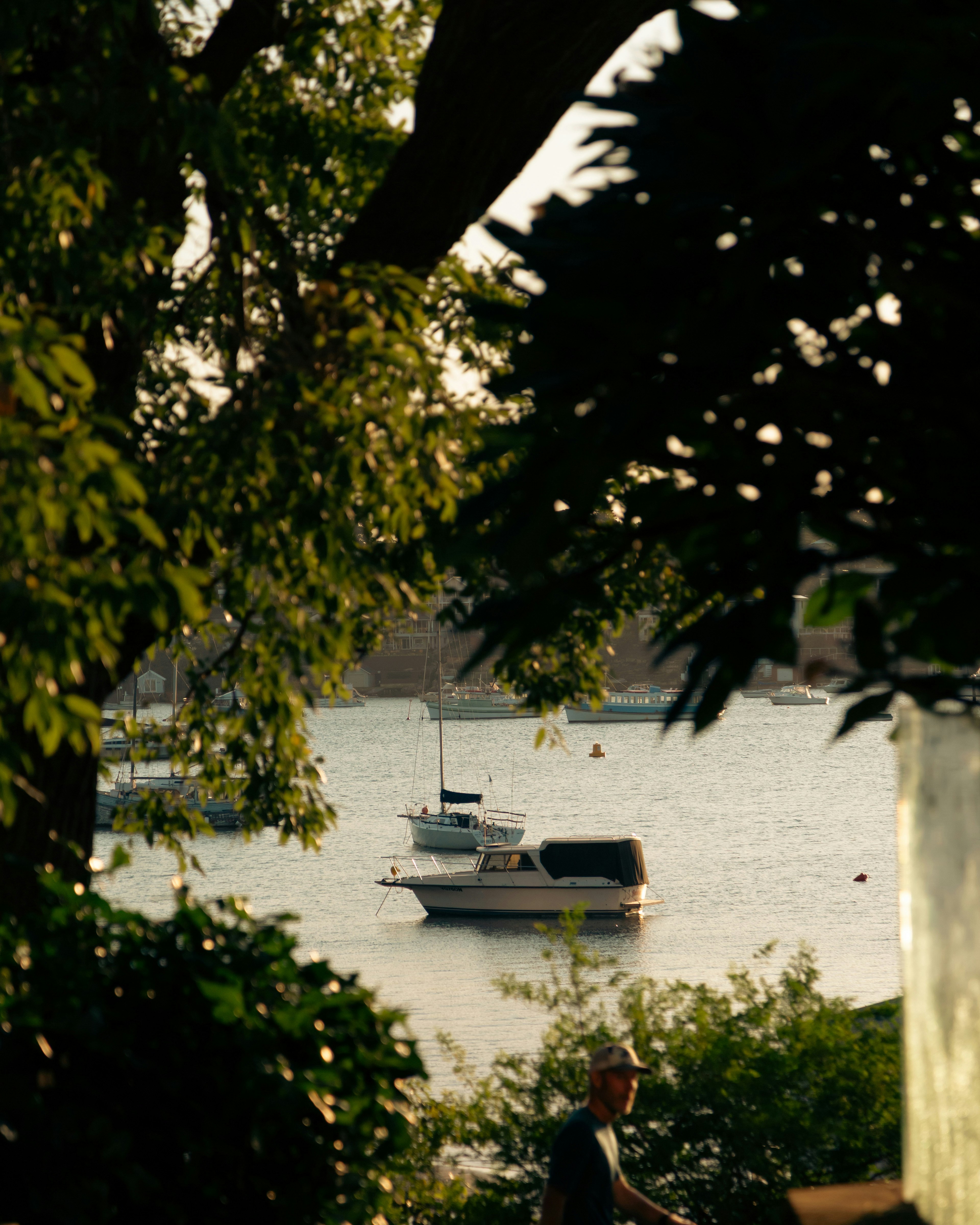 Image of scenery