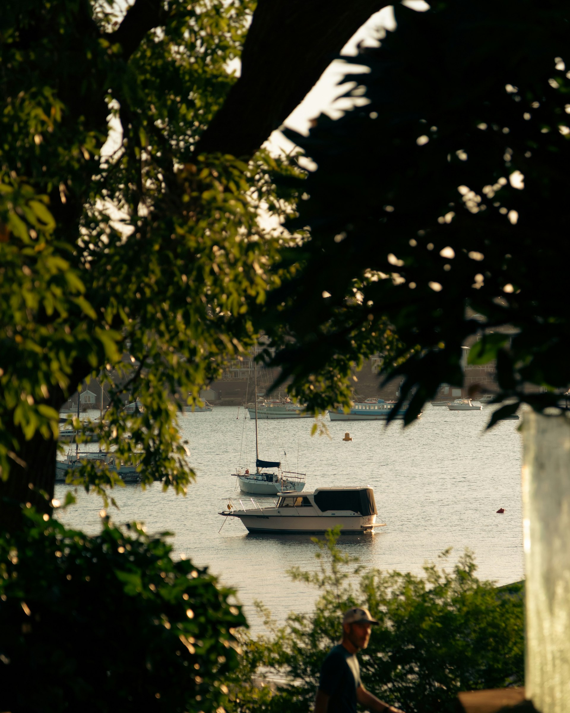 scenery