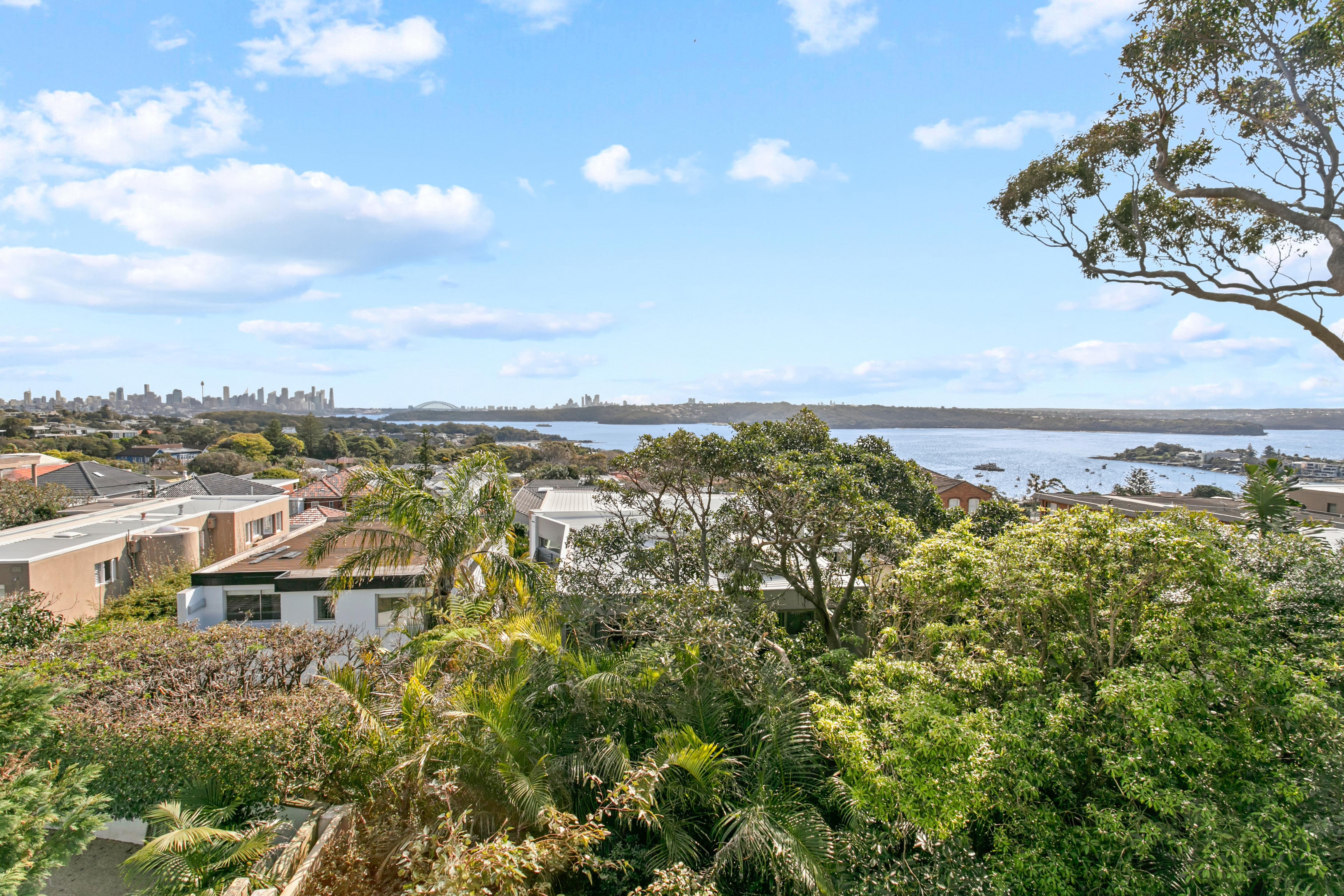 15 John Dykes Avenue, Vaucluse - Thumbnail 5