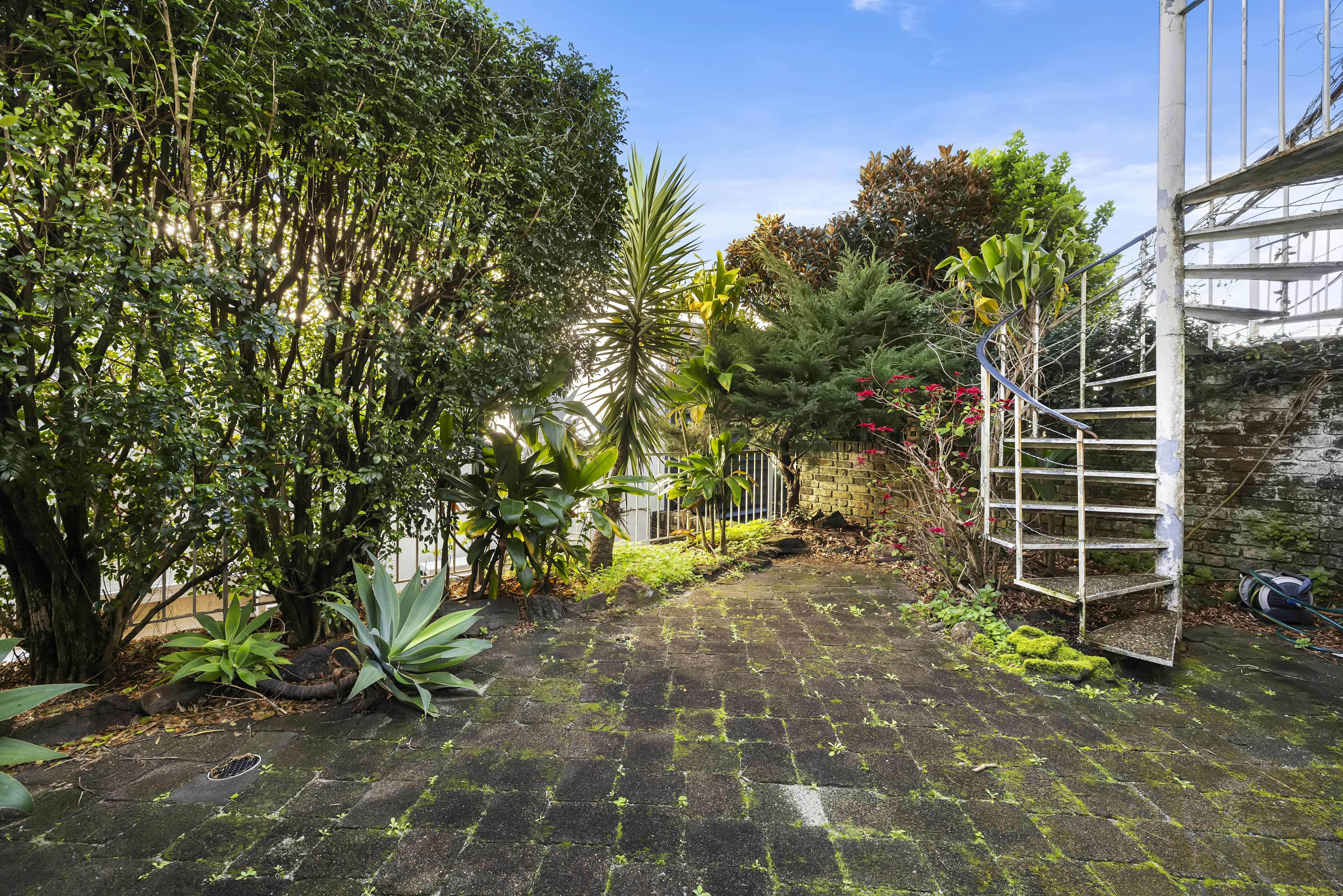 Image of garden