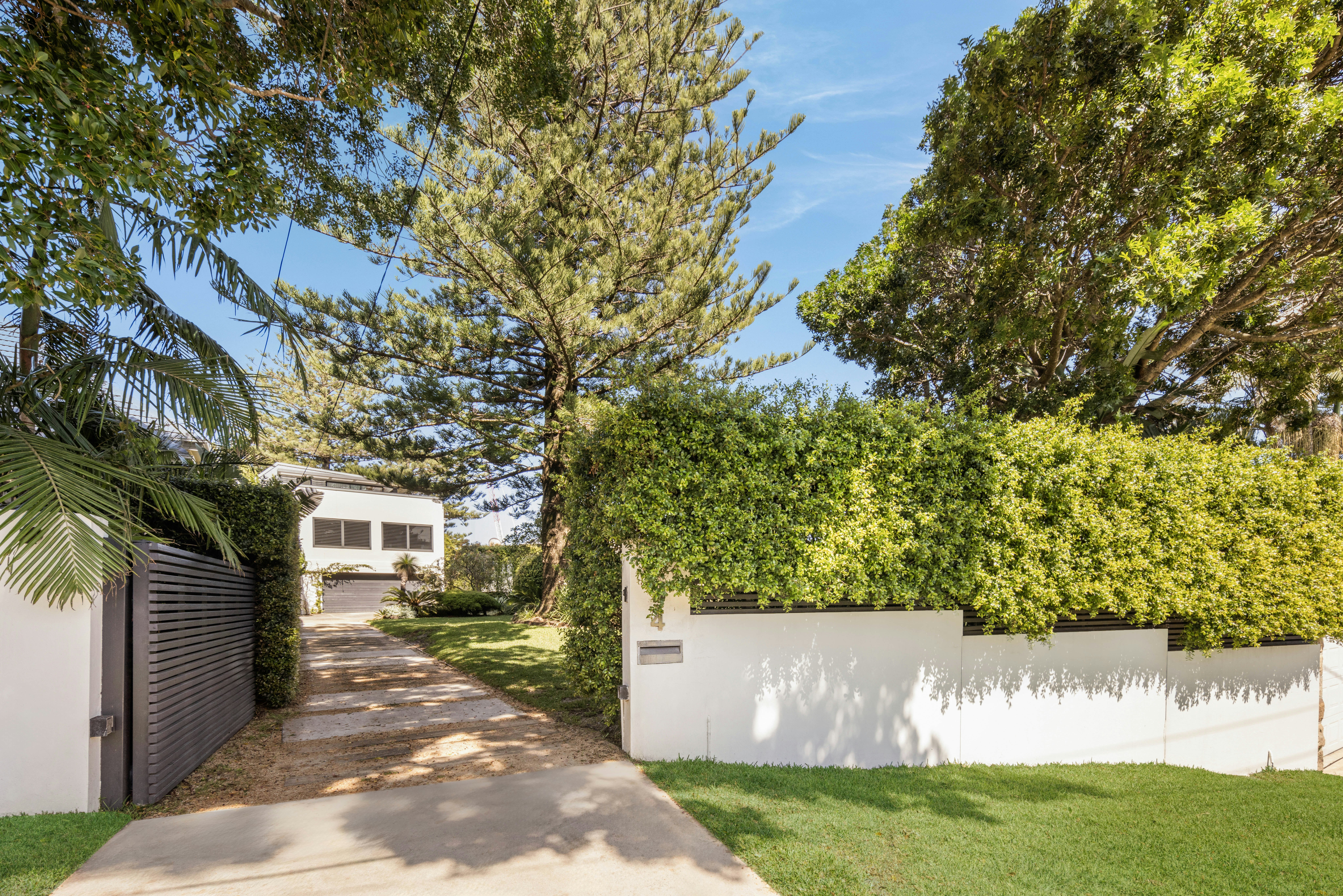 Image of backyard