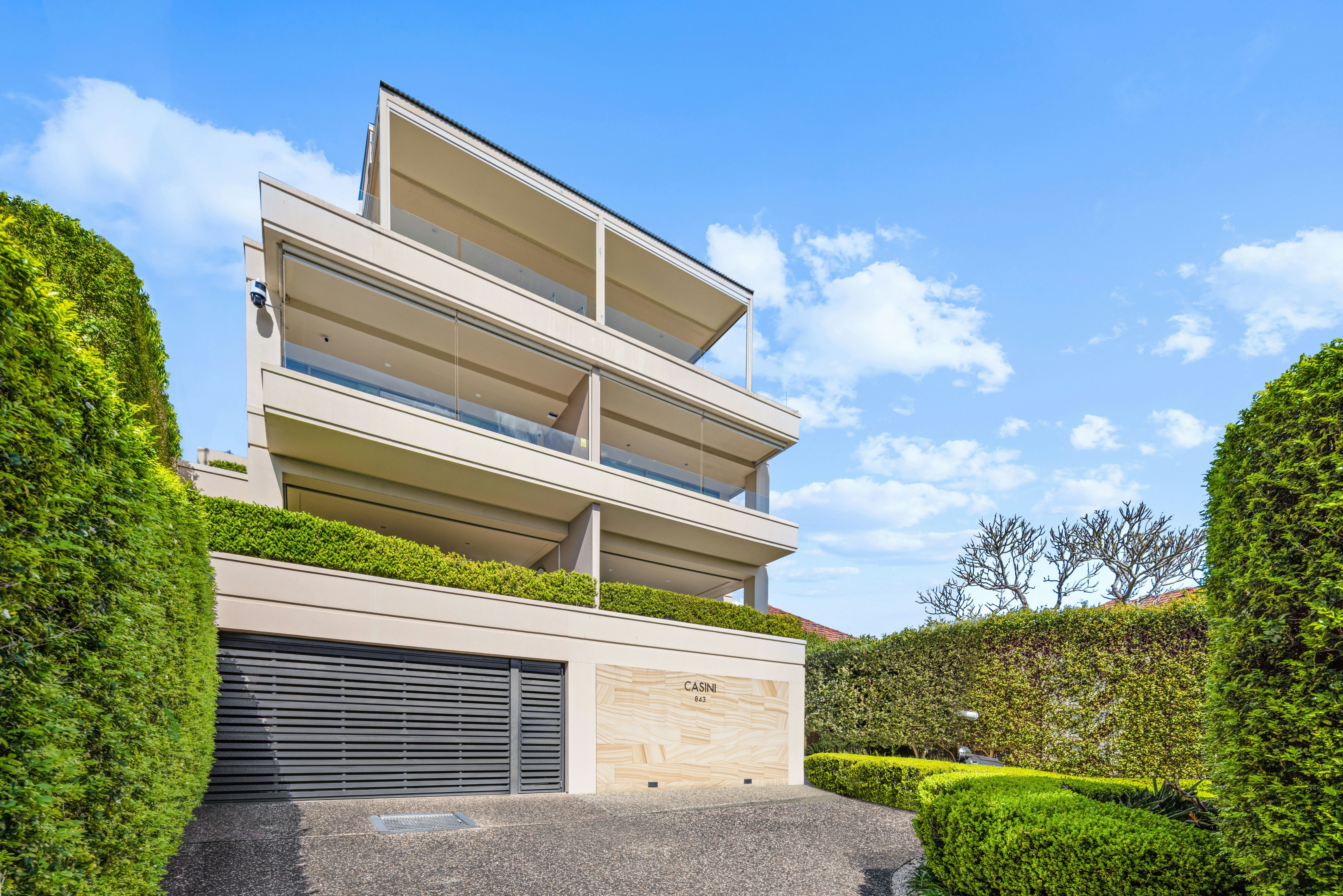 Image of hedge