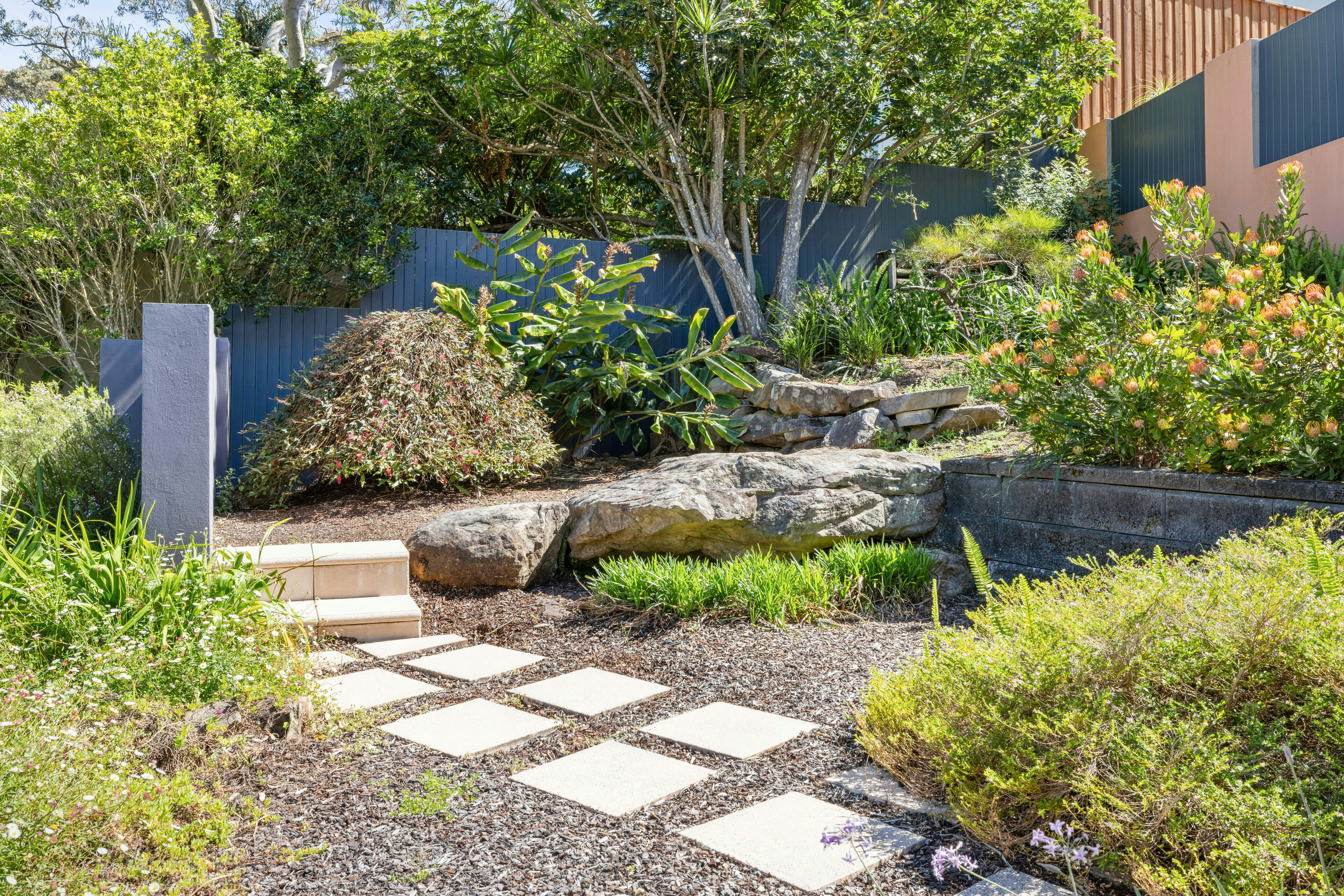 Image of backyard