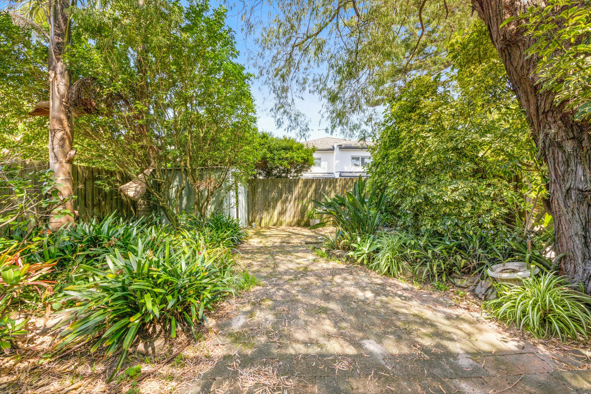 56 George Street, Dover Heights NSW
