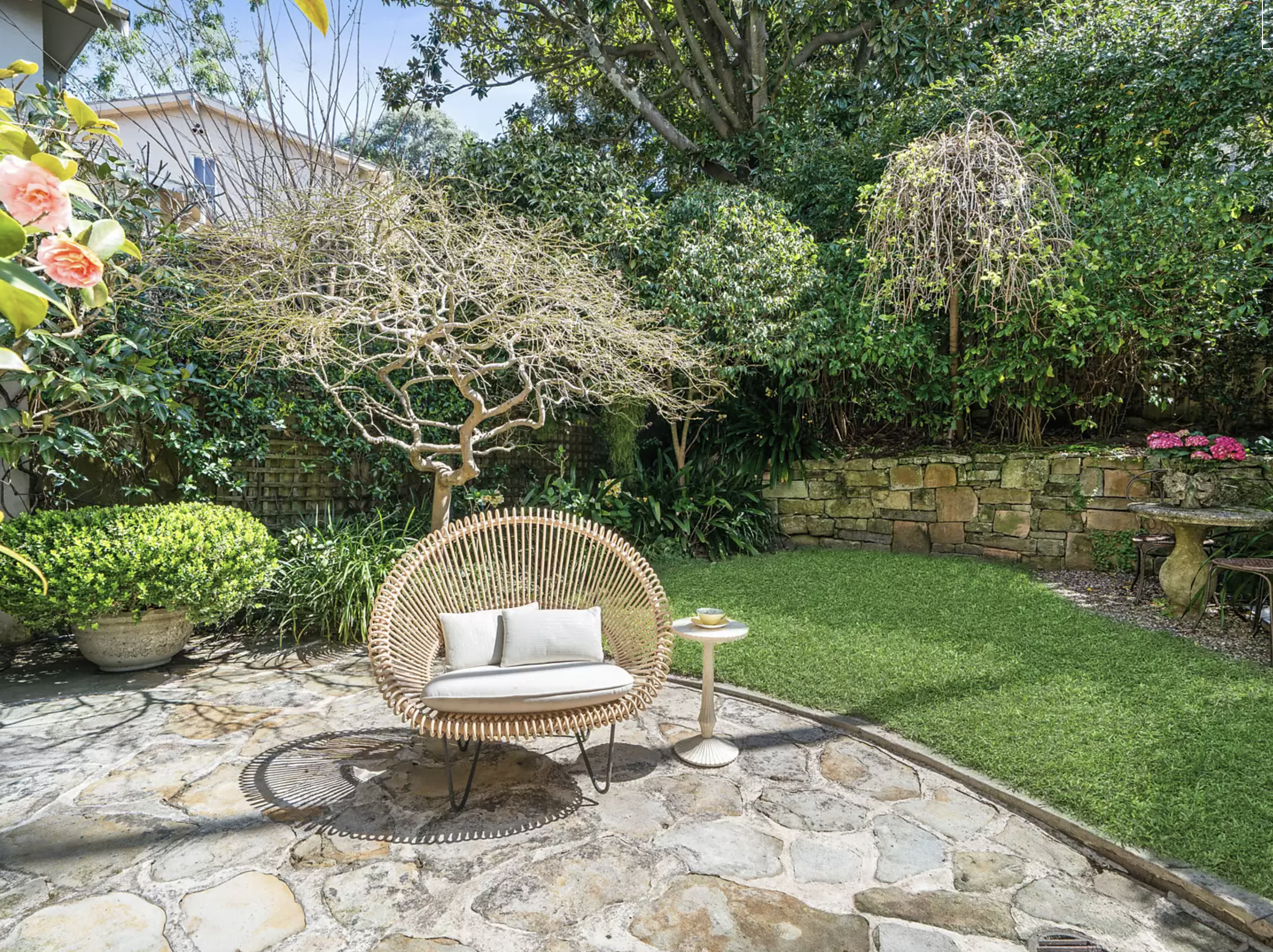 Image of backyard