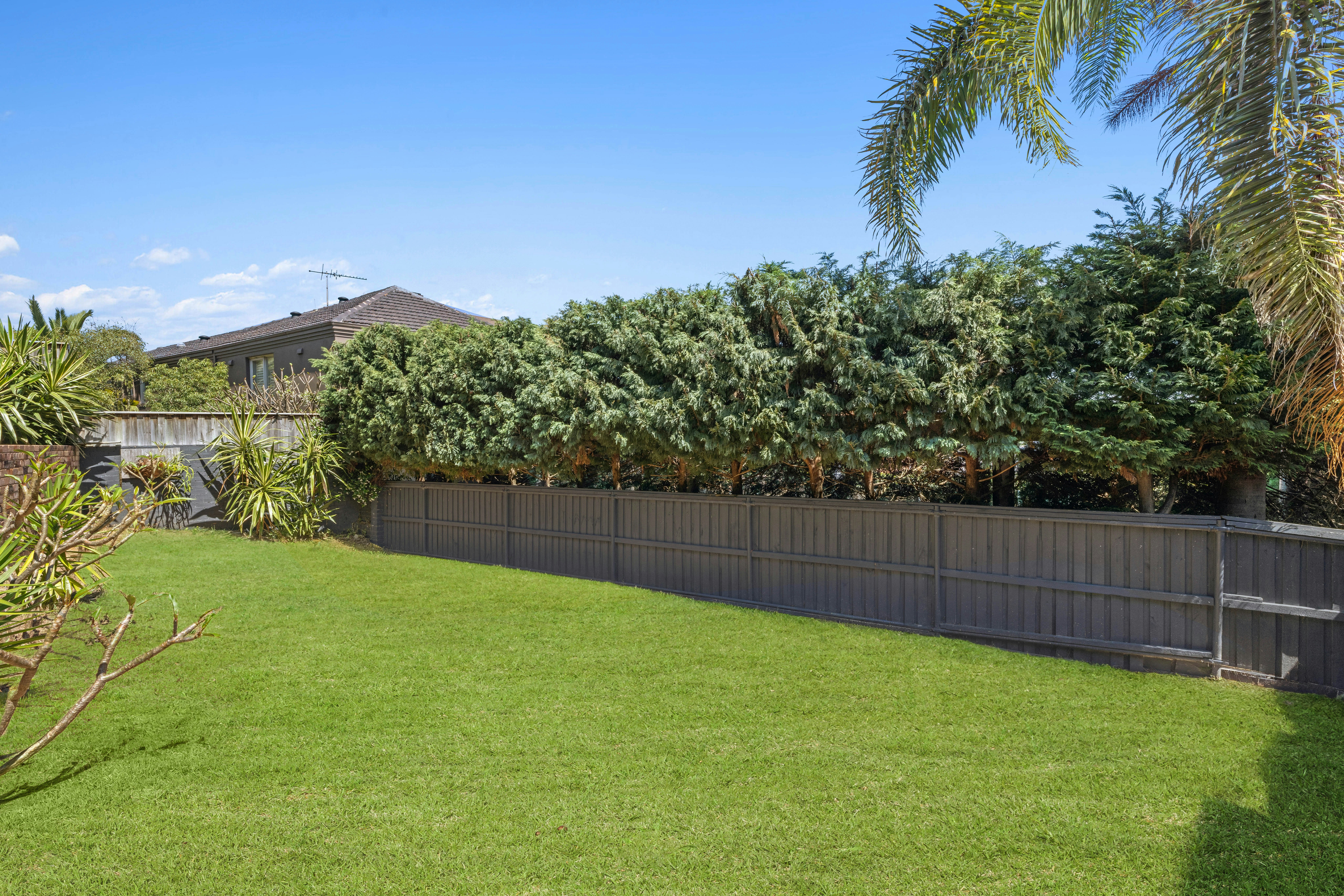Image of backyard