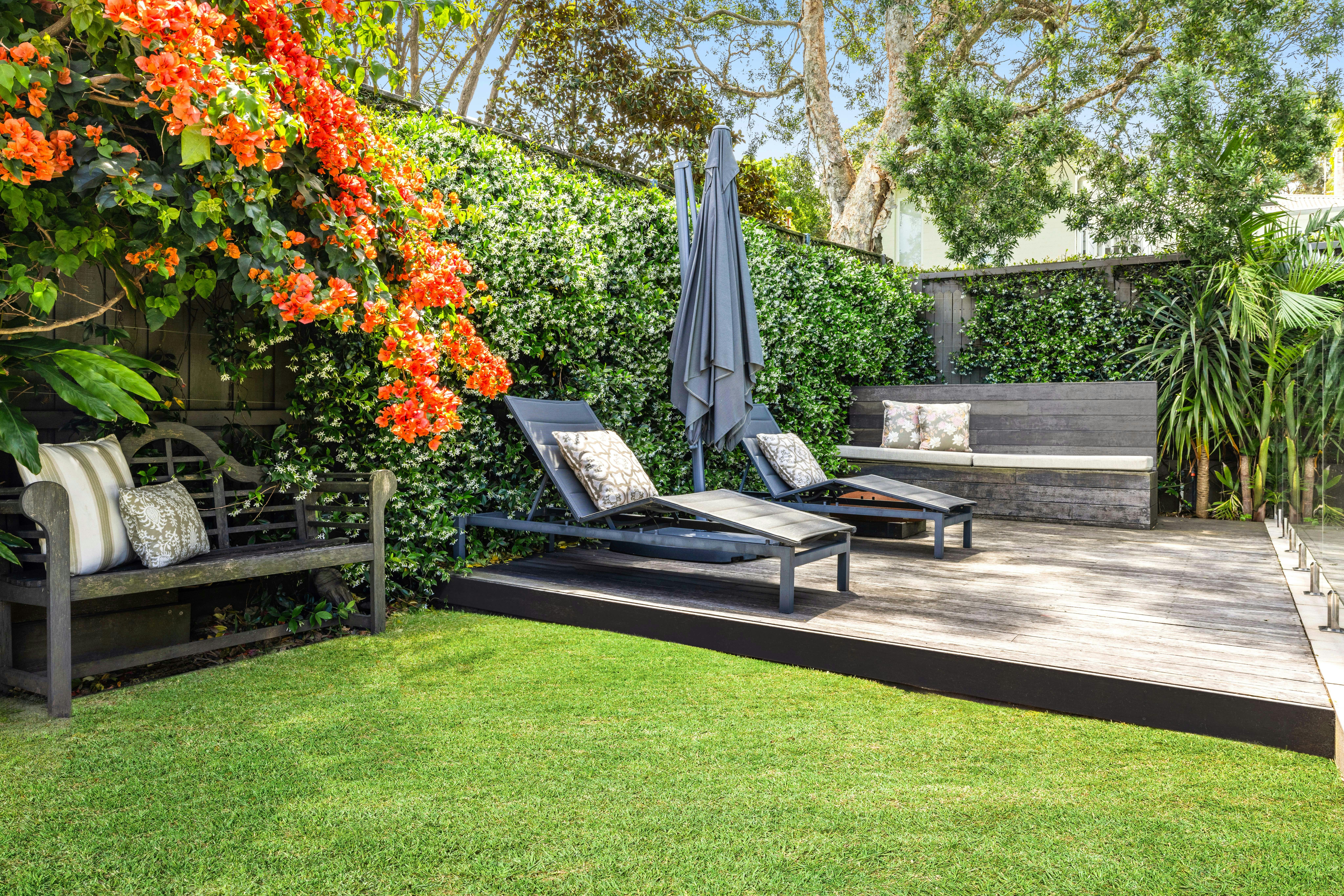 Image of backyard