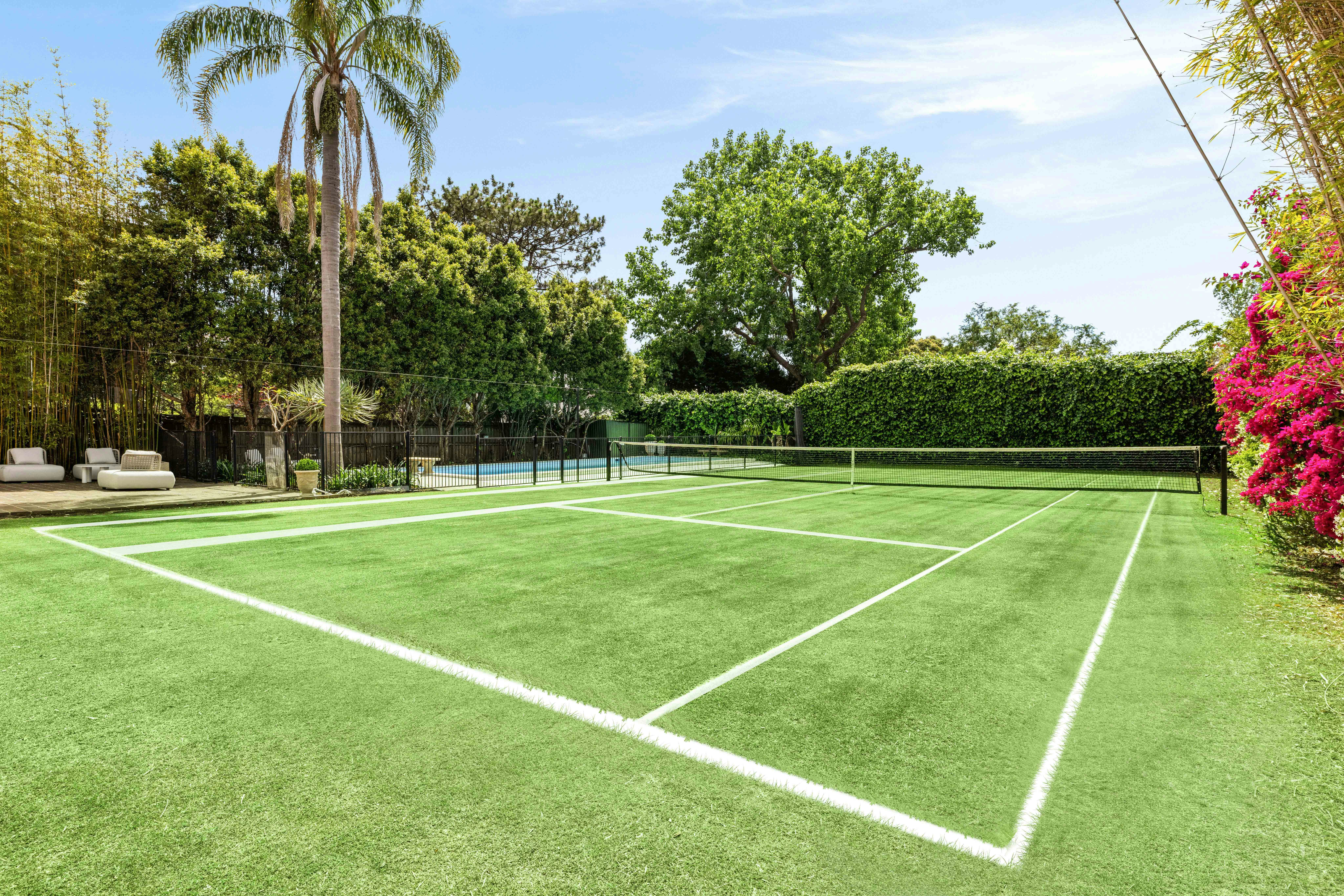 Image of sport