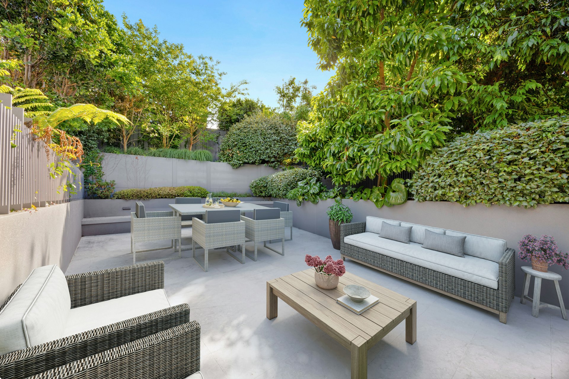 backyard