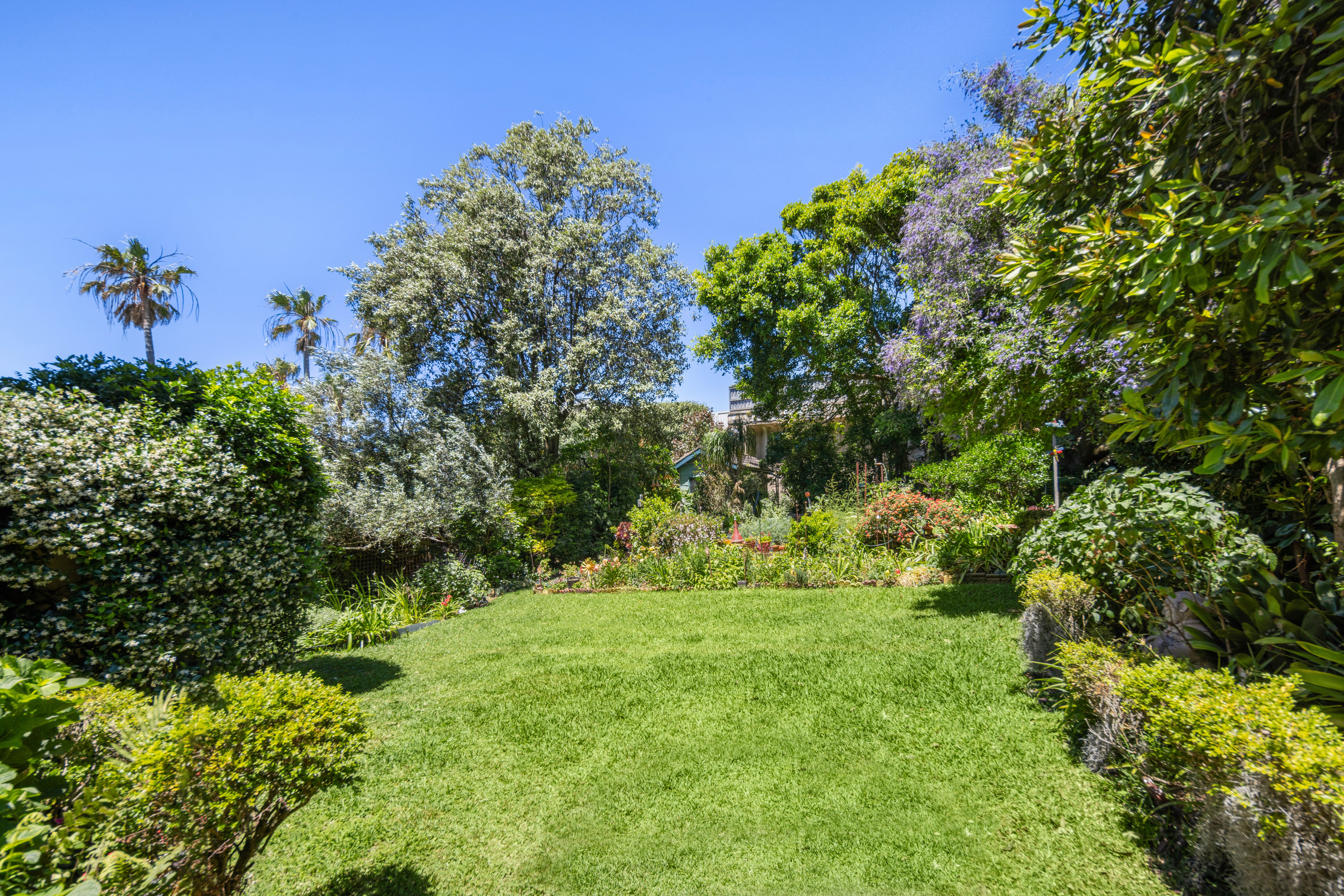 45 Lancaster Road, Dover Heights - Thumbnail 5