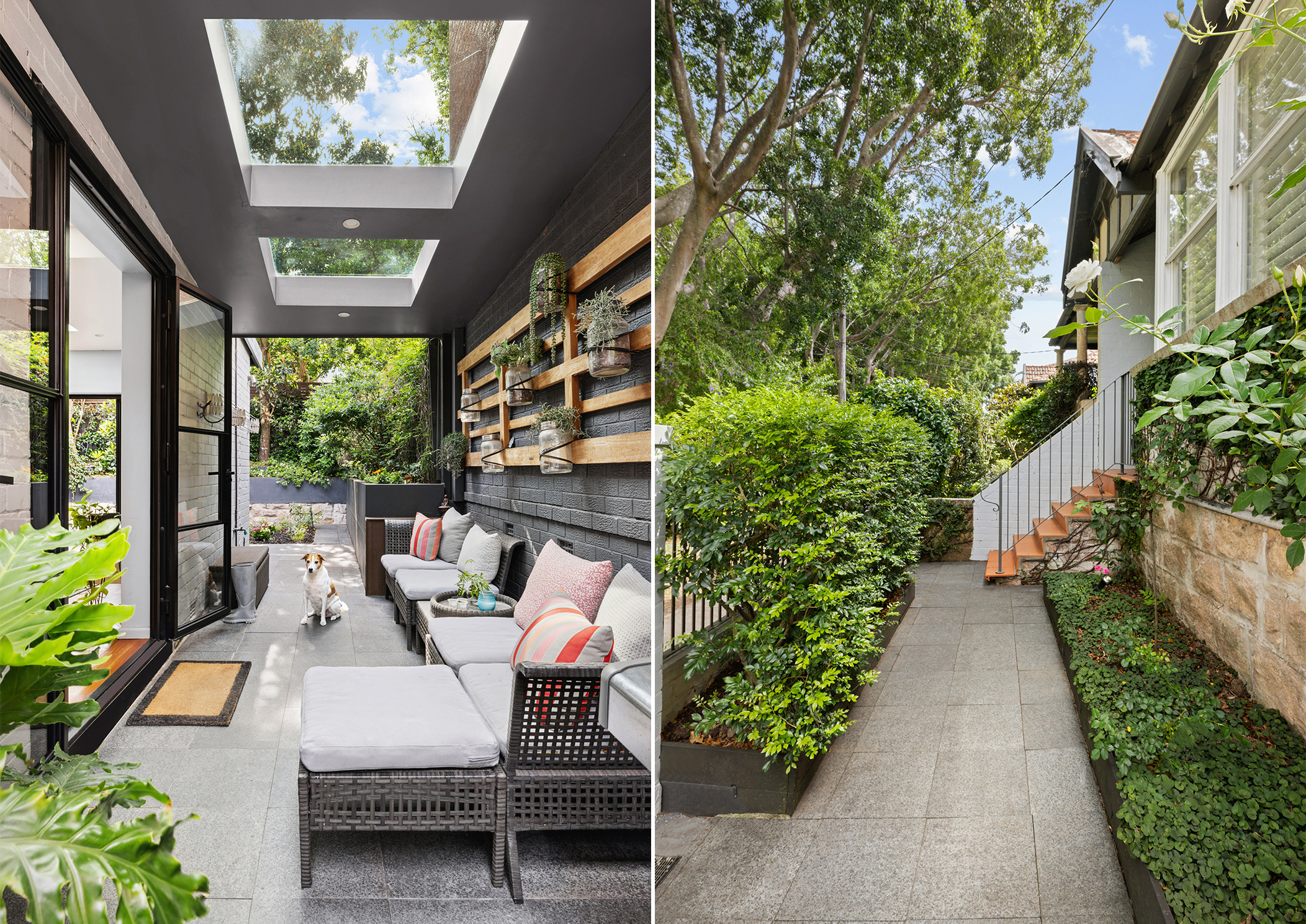 11A Figtree Avenue, Randwick - Thumbnail 7