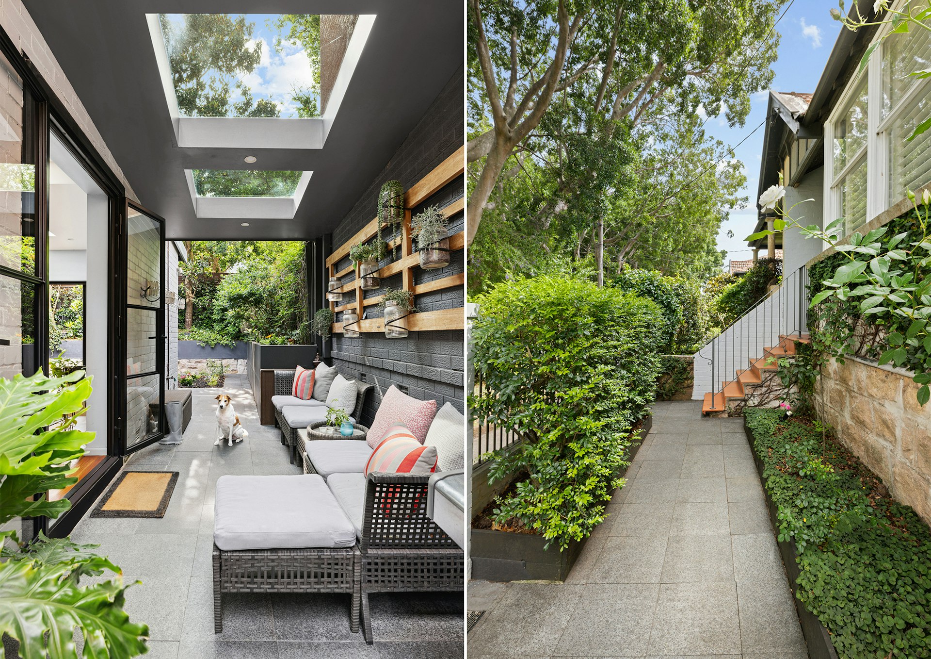 backyard