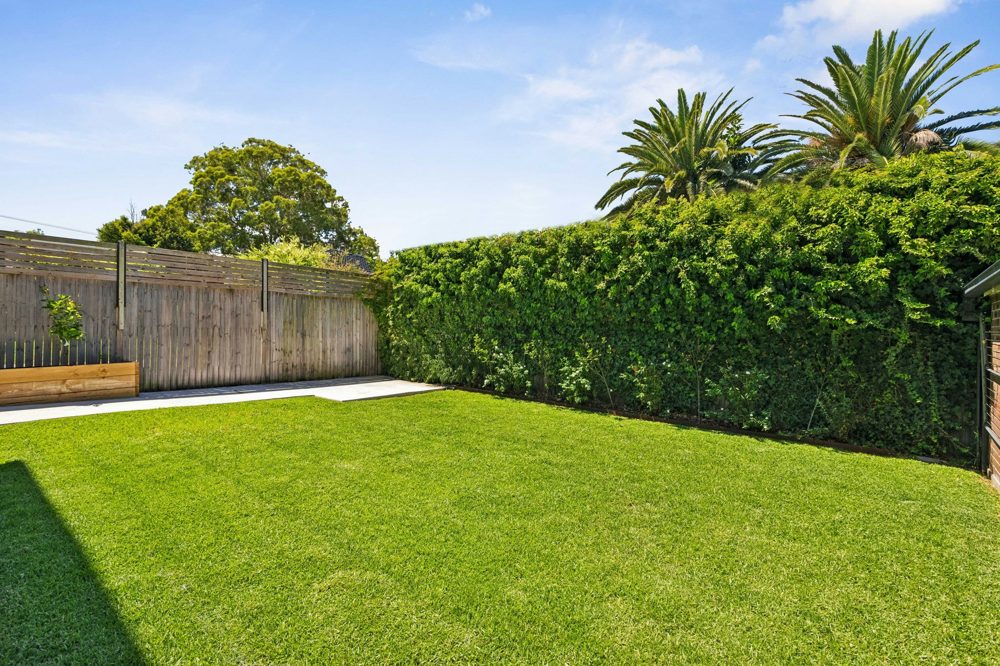 15 Daly Avenue, Concord NSW