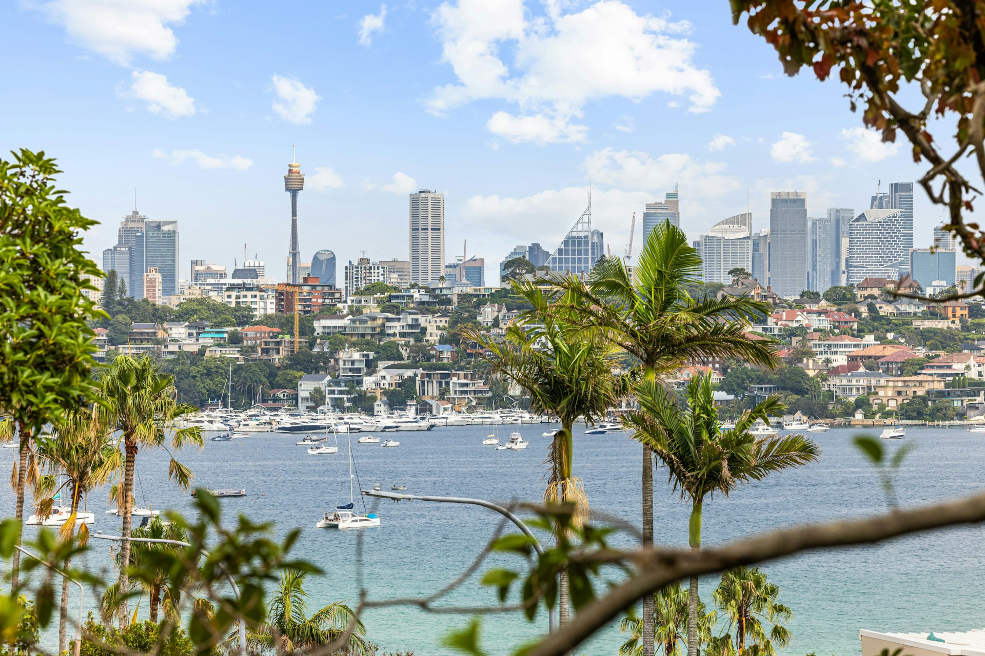 1 Fernleigh Gardens, Rose Bay NSW