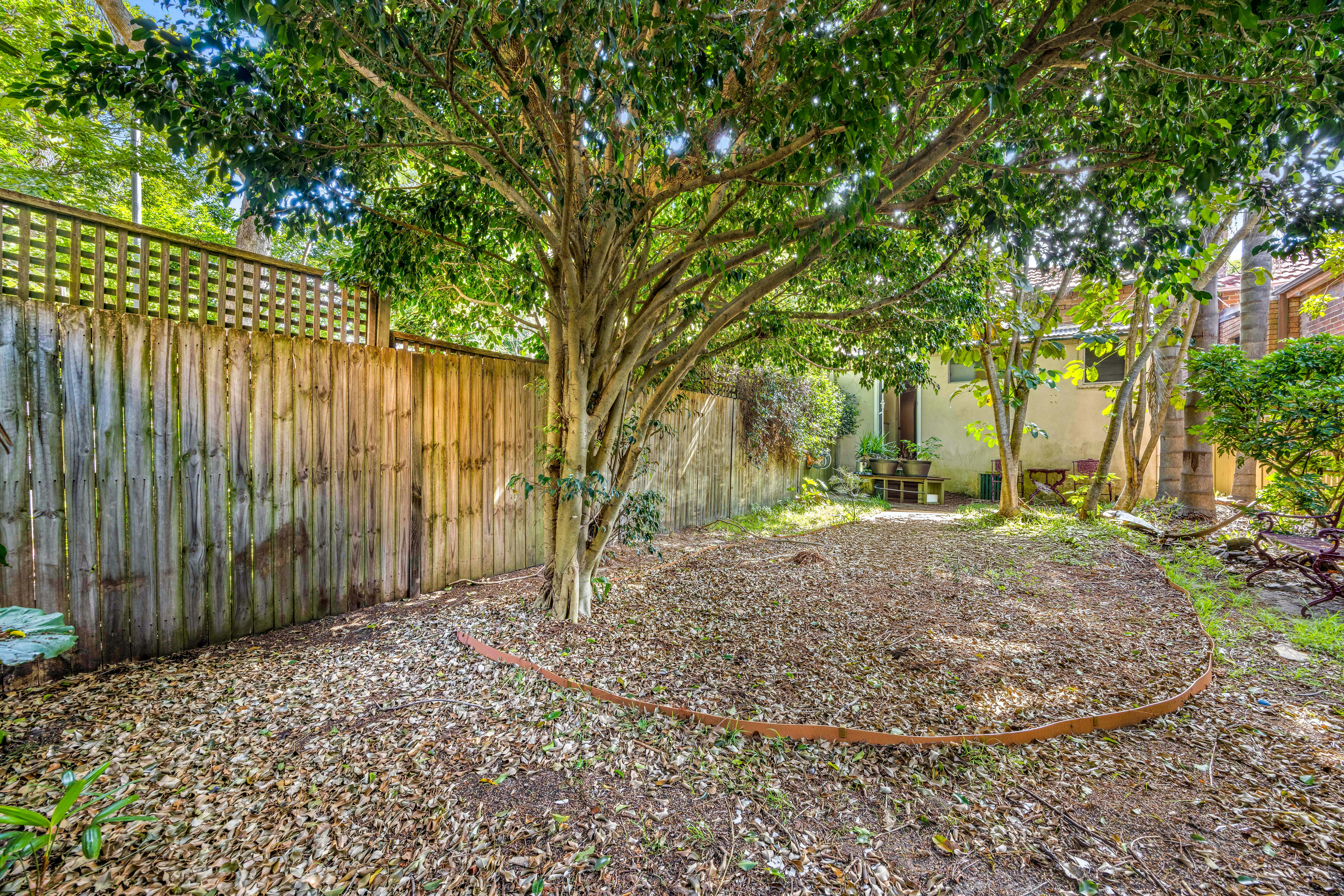 Image of backyard