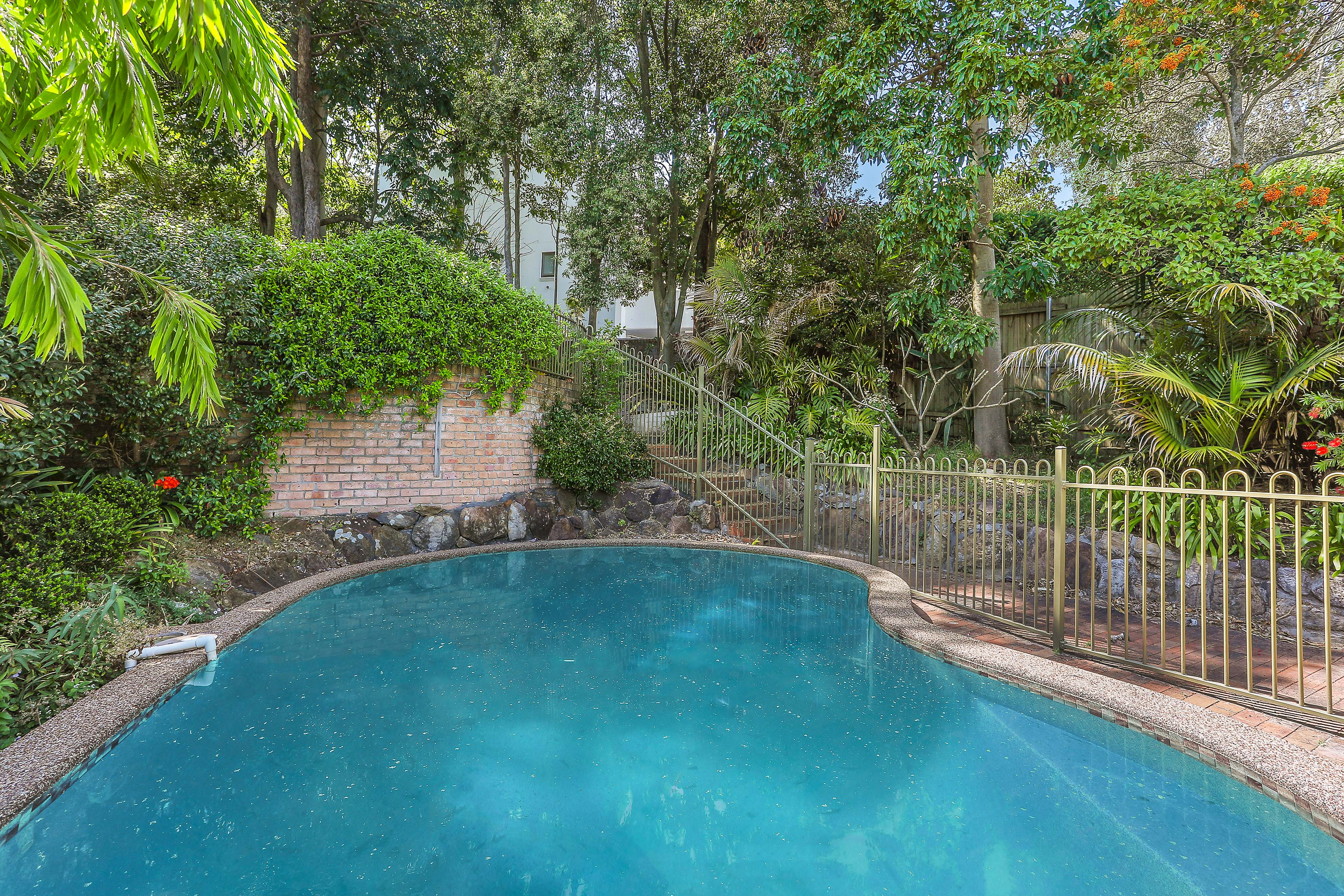 32 Carlotta Road, Double Bay - Thumbnail 3