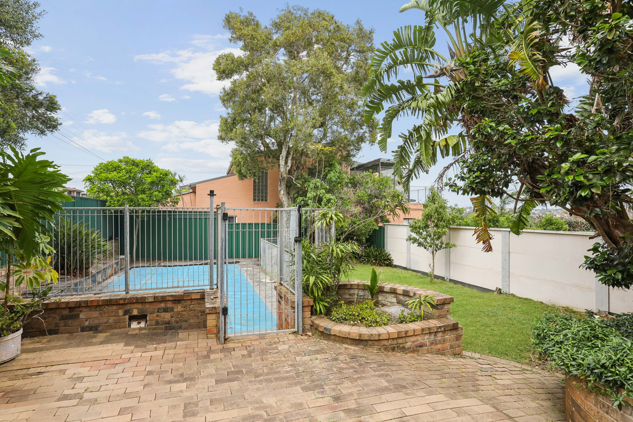 15 Northcote Street, Rose Bay - Thumbnail 6