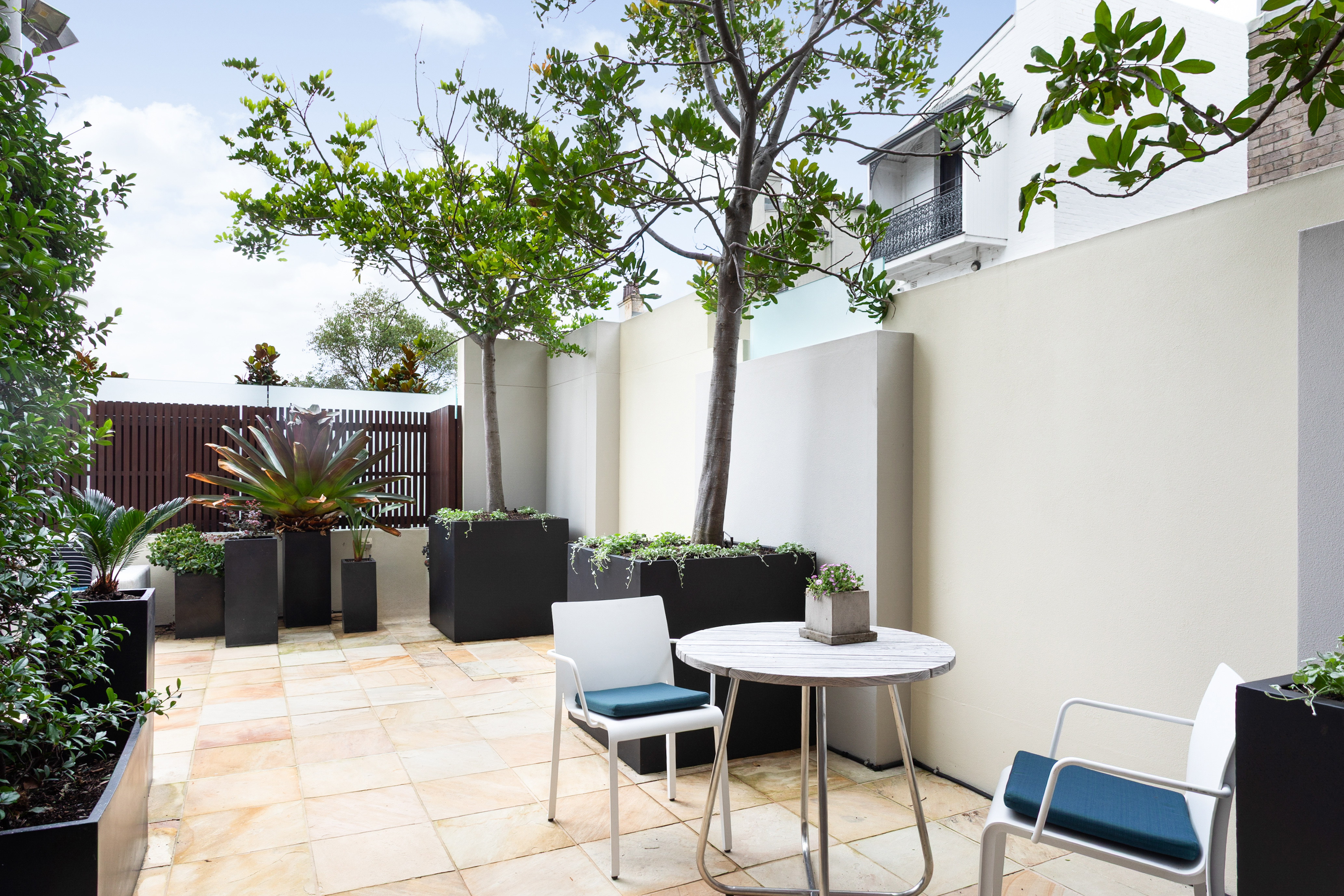 6/13 Oatley Road, Paddington - Thumbnail 6