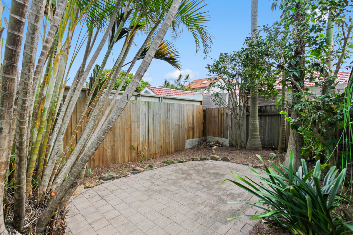 37 Frederick Street, North Bondi - Thumbnail 4