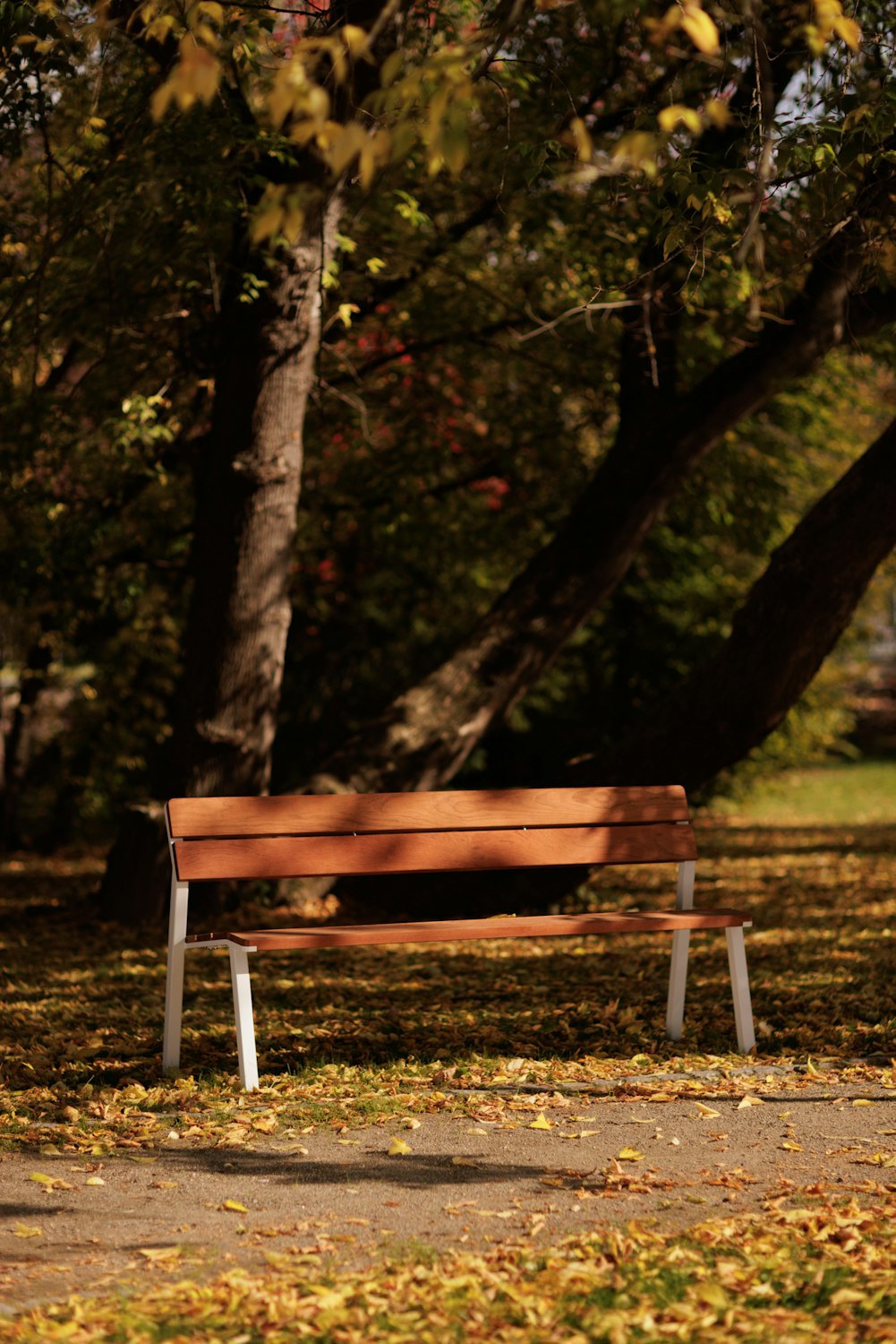 Cora Public Parkmöbel