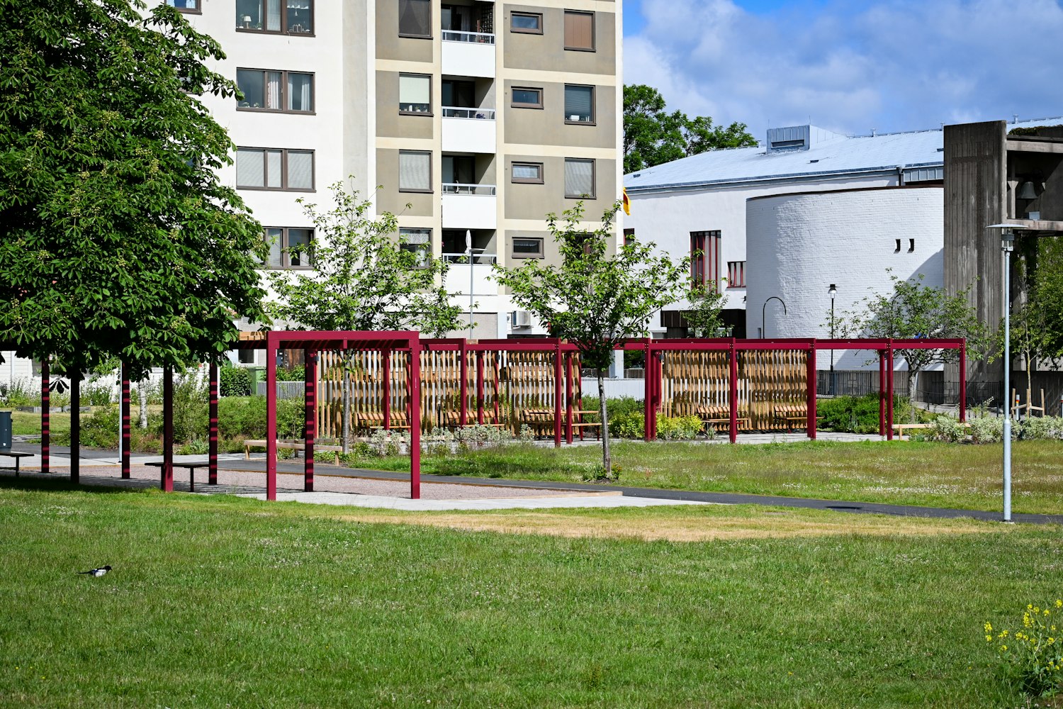 Pergola Våraskruv parallell