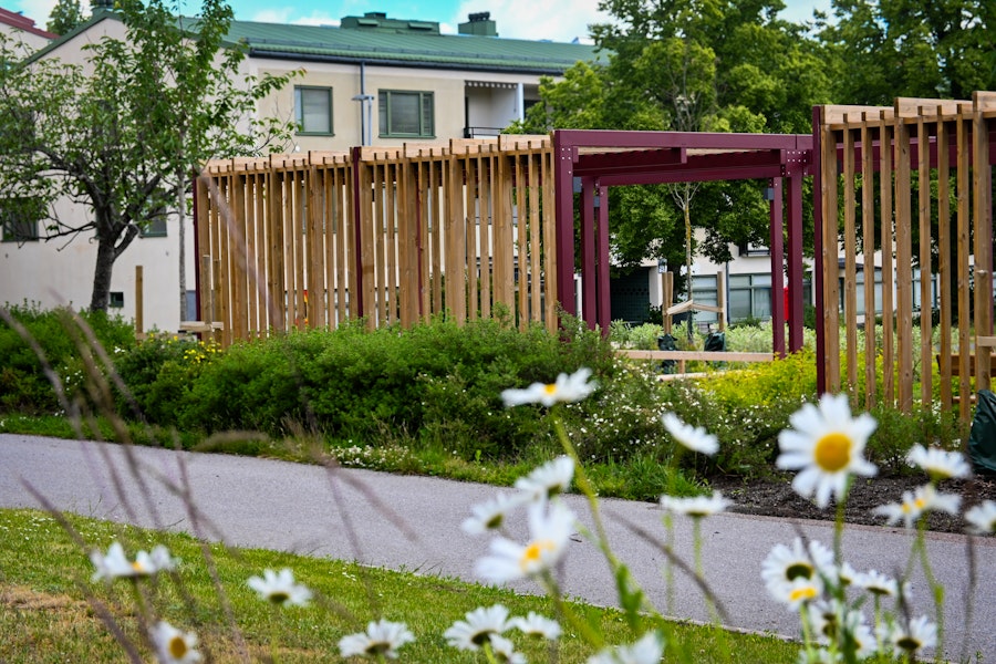 Våraskruv parallell pergola