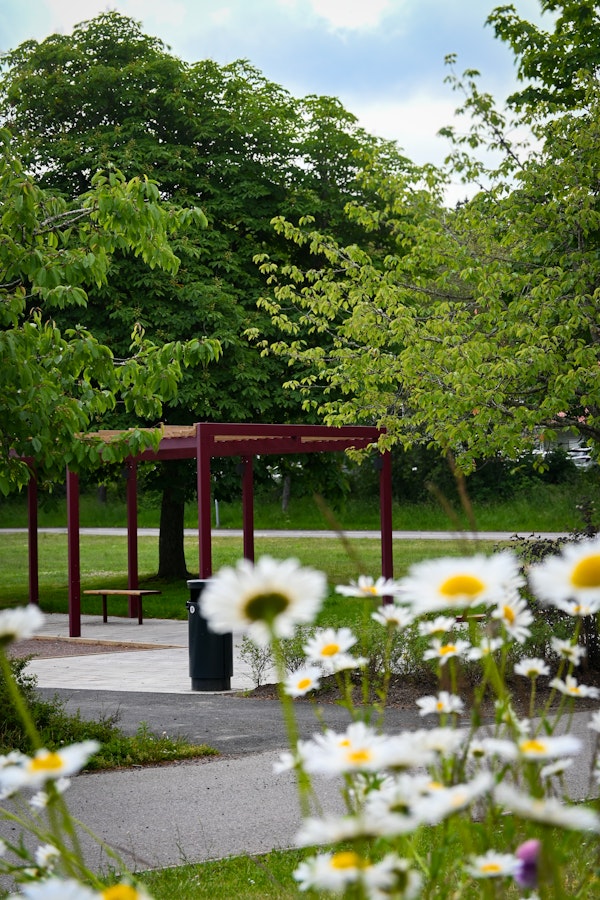 Våraskruv pergola