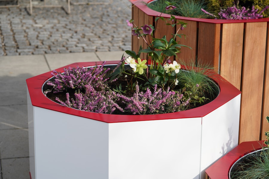 Barka Four Planter