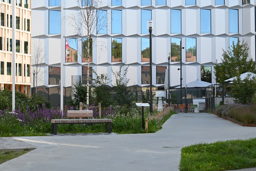 parksoffa affinity