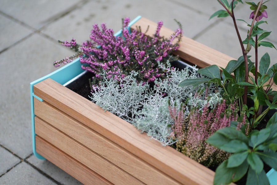 Egon Planter