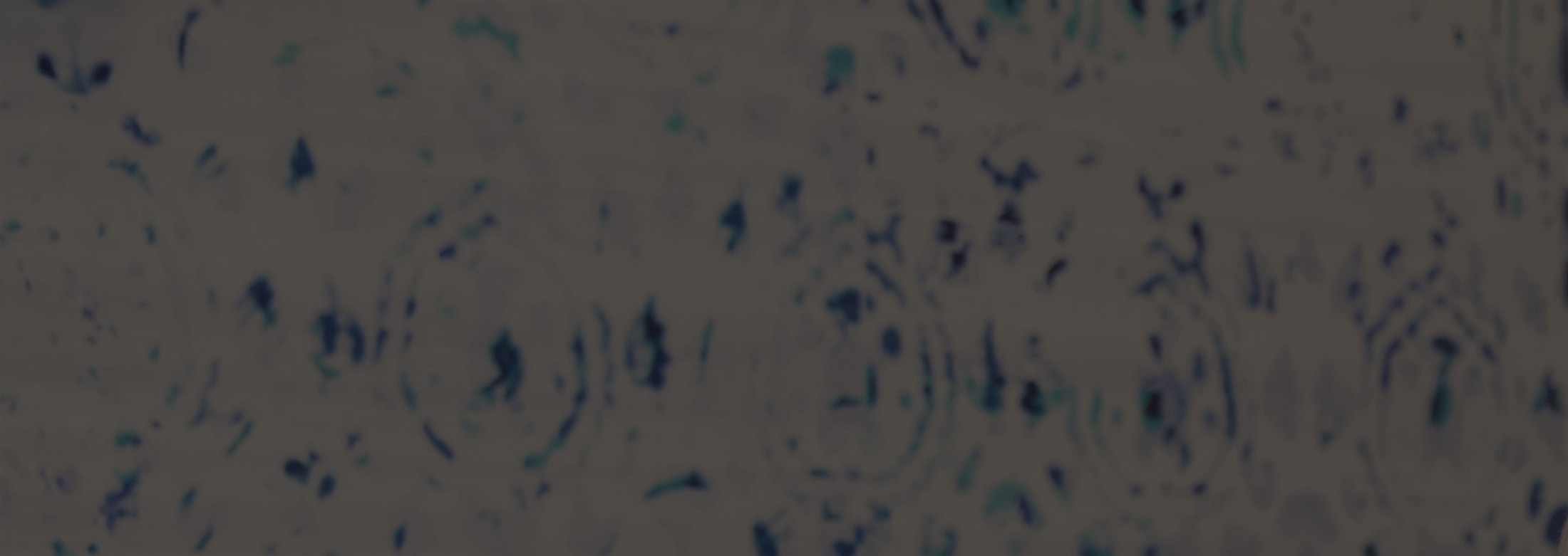 Banner media