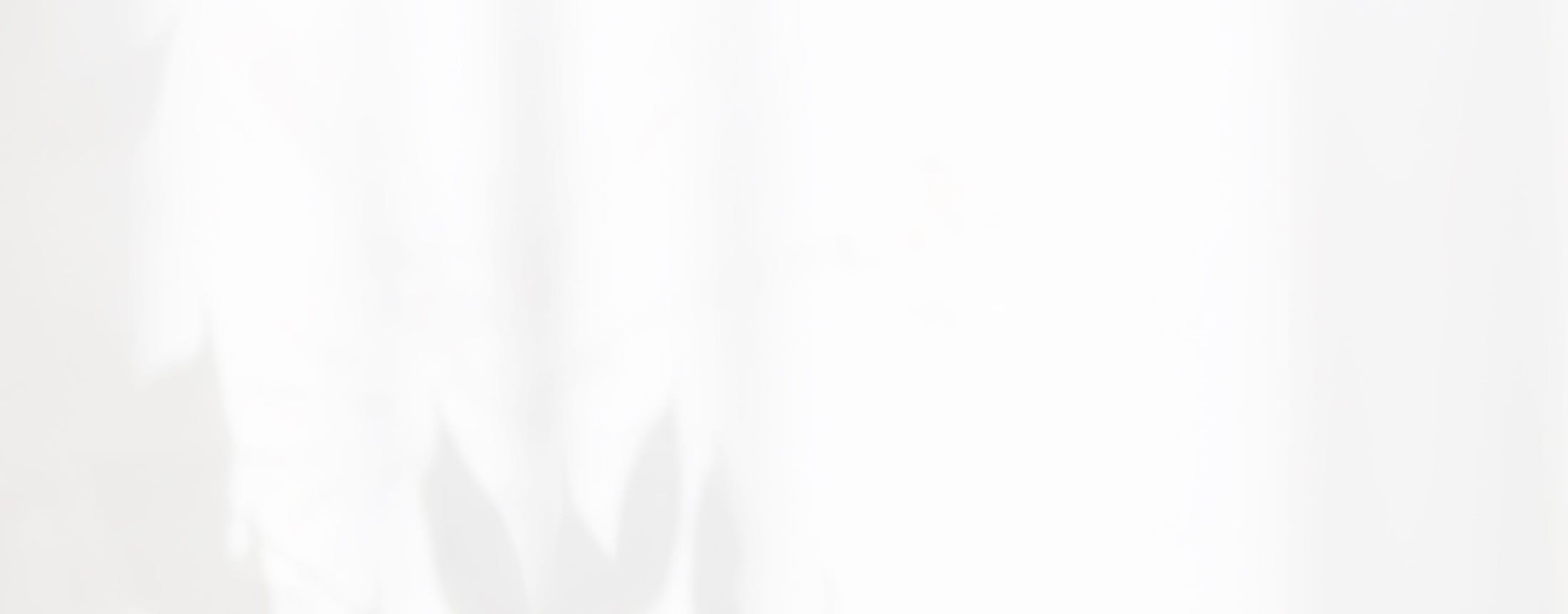 Logo media