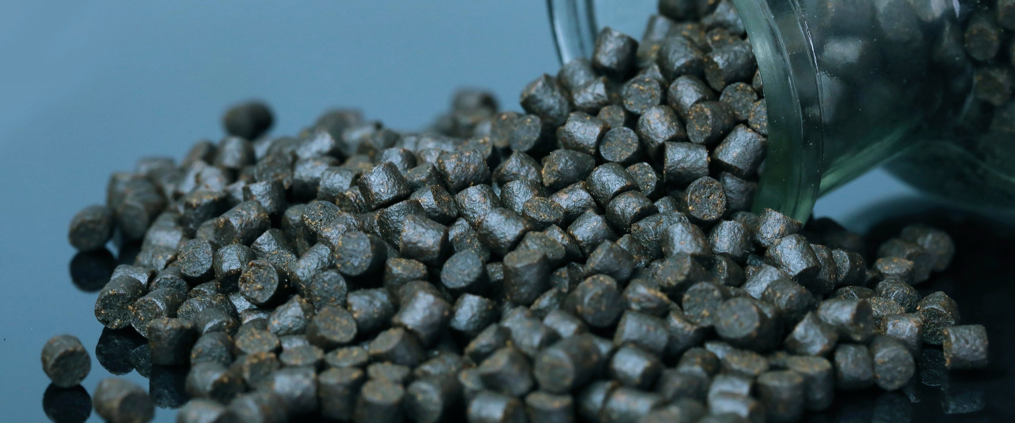 Aller Aqua functional feeds Aller Aqua functional feeds. Support fish health, performance, and resilience with Aller Aqua’s Functional Feeds