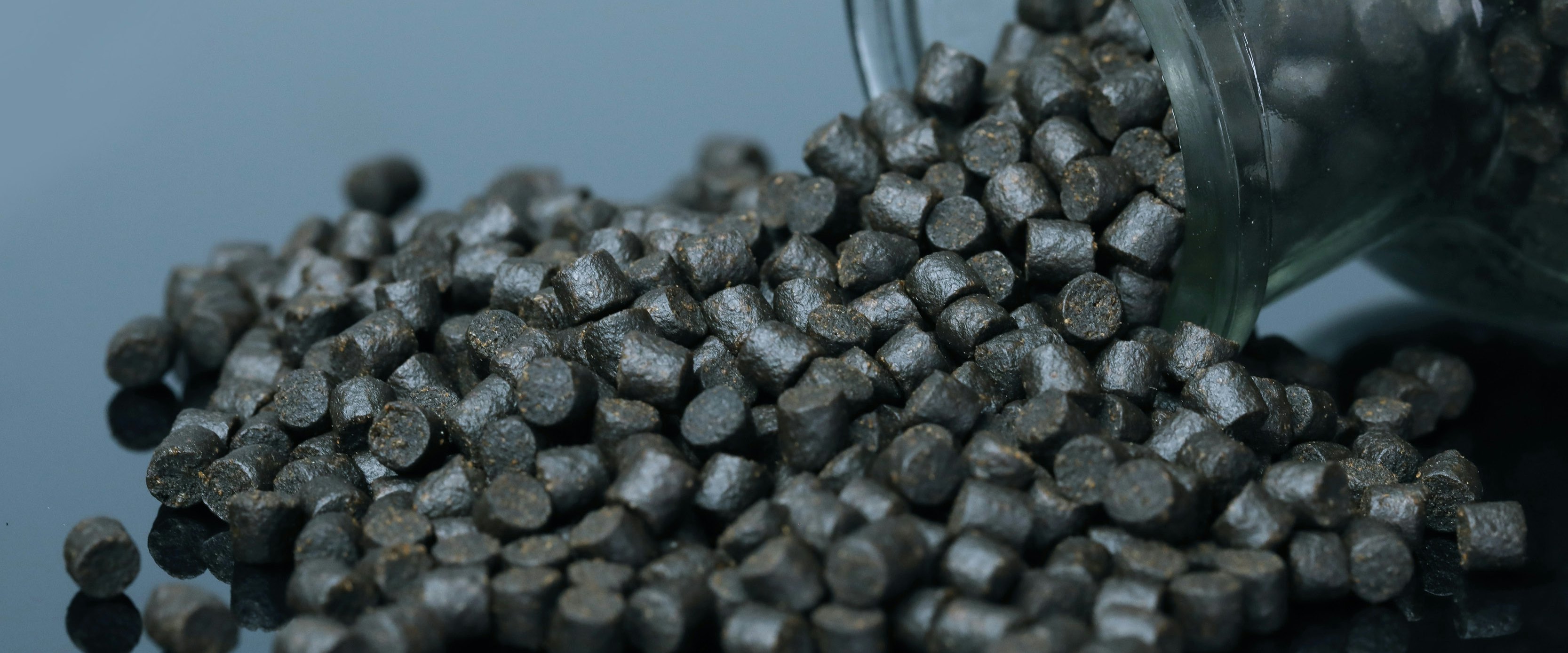 Aller Aqua functional feeds Aller Aqua functional feeds. Support fish health, performance, and resilience with Aller Aqua’s Functional Feeds