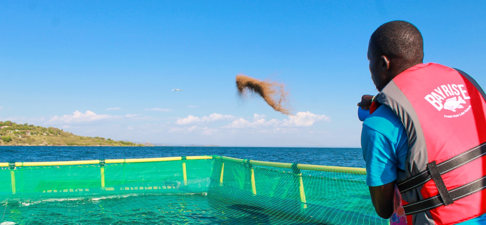 Aller Aqua and Bayrise fish farm_Empowering Kenyan aquaculture_lake victoria