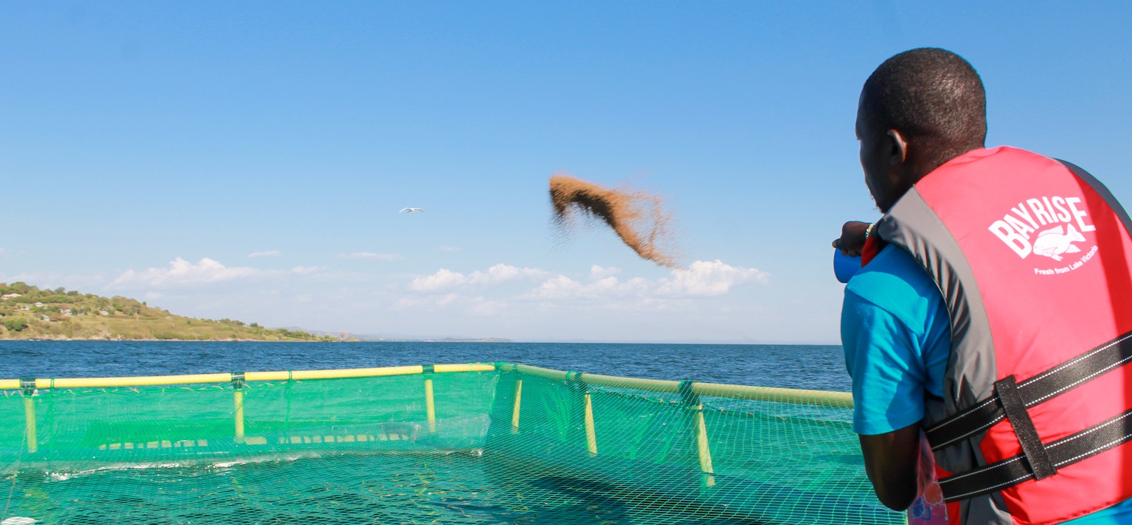 Aller Aqua and Bayrise fish farm_Empowering Kenyan aquaculture_lake victoria