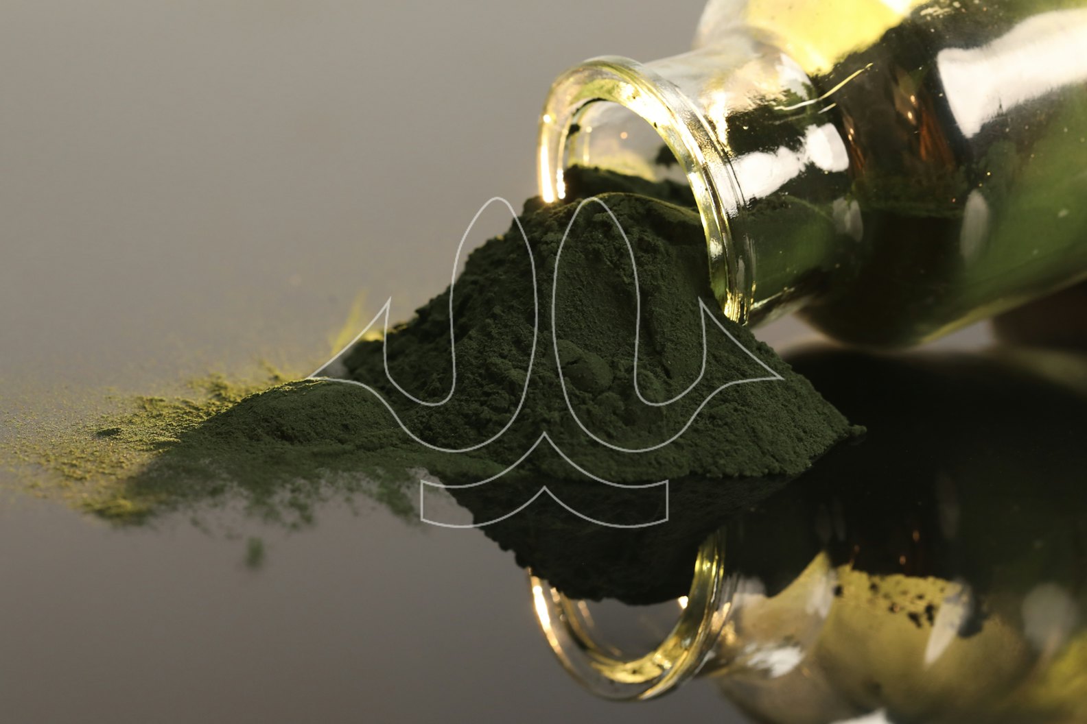 Aller Aqua will develop functional feeds containing algae-derived additives to combat salmon louse infection.