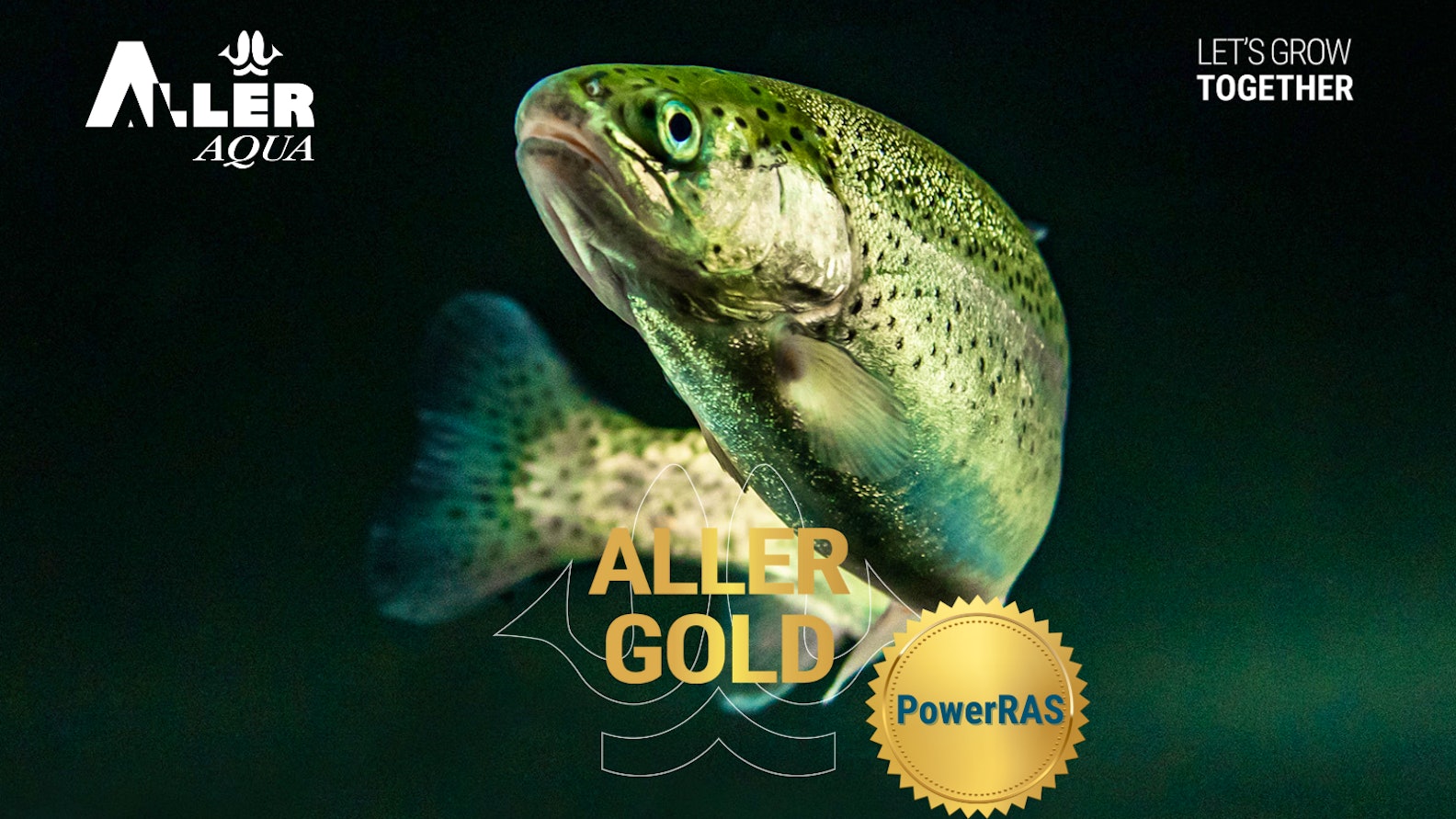 Aller Gold in RAS farming_rainbow trout