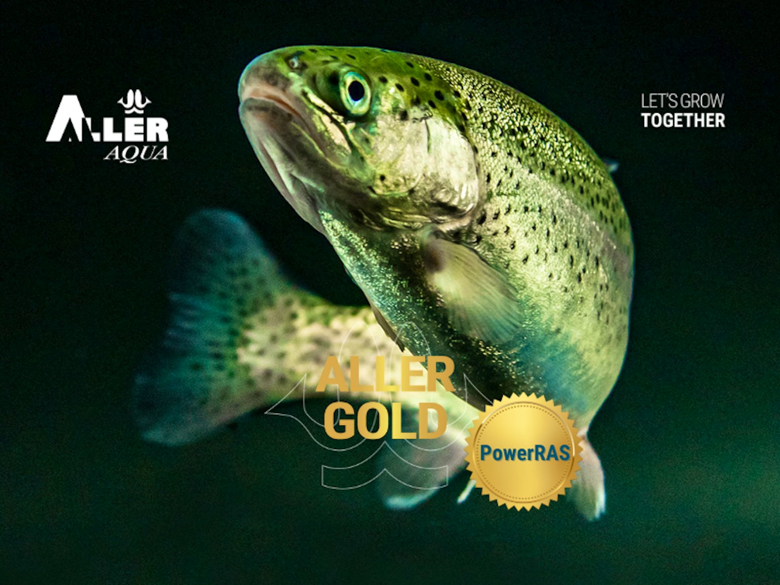 Aller Gold in RAS farming_rainbow trout