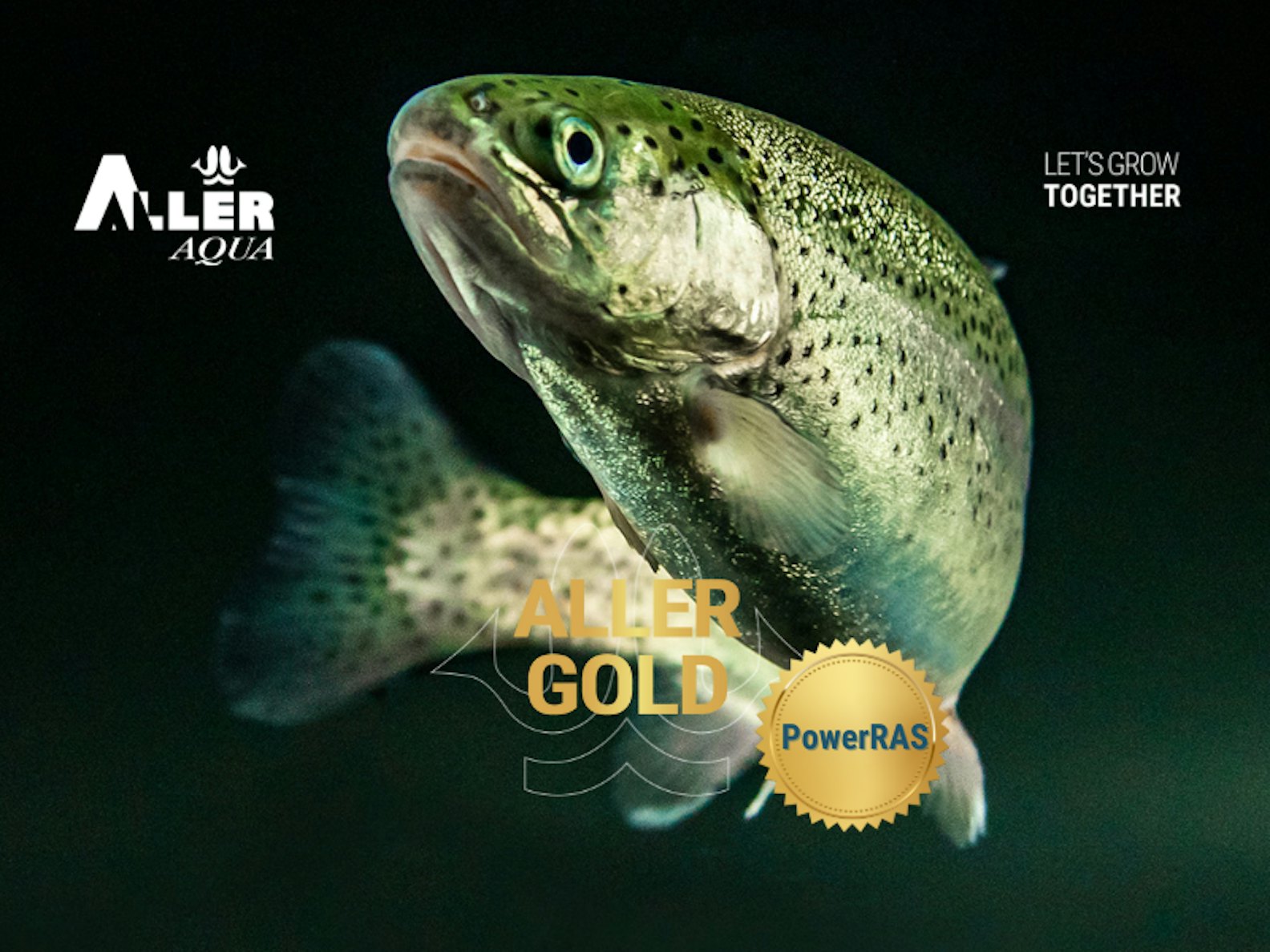 Aller Gold in RAS farming_rainbow trout